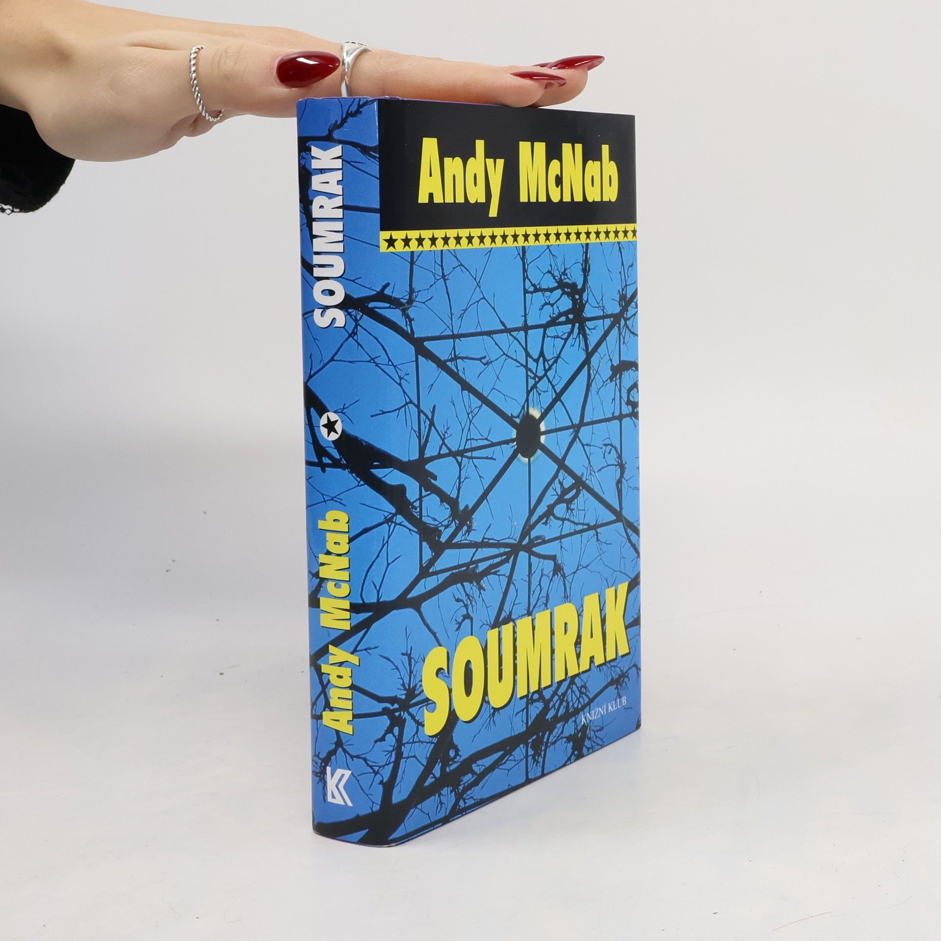 Andy McNab Soumrak