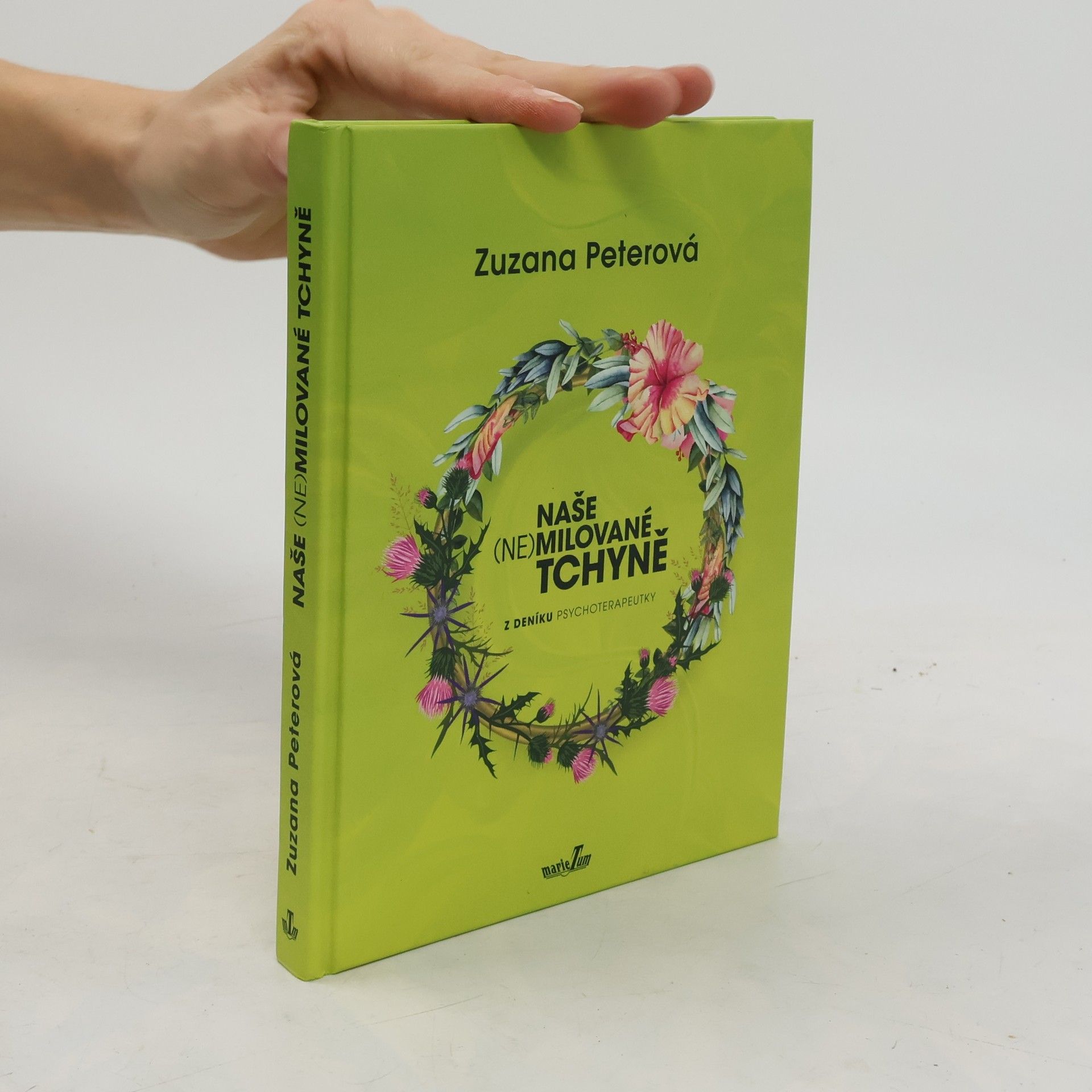 Naše nemilované tchyně. Z deníku psychoterapeutky