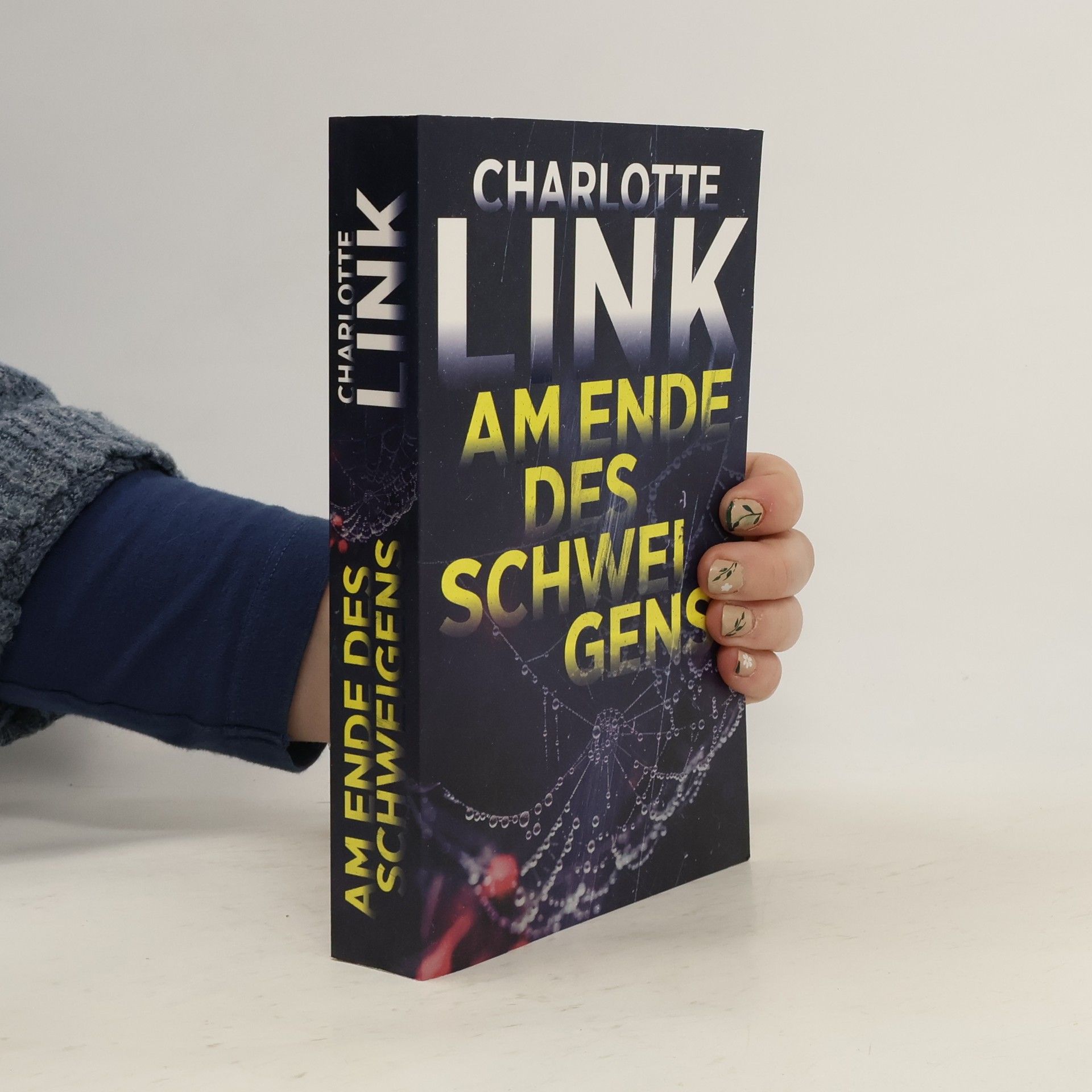 Charlotte Link Am Ende des Schweigens