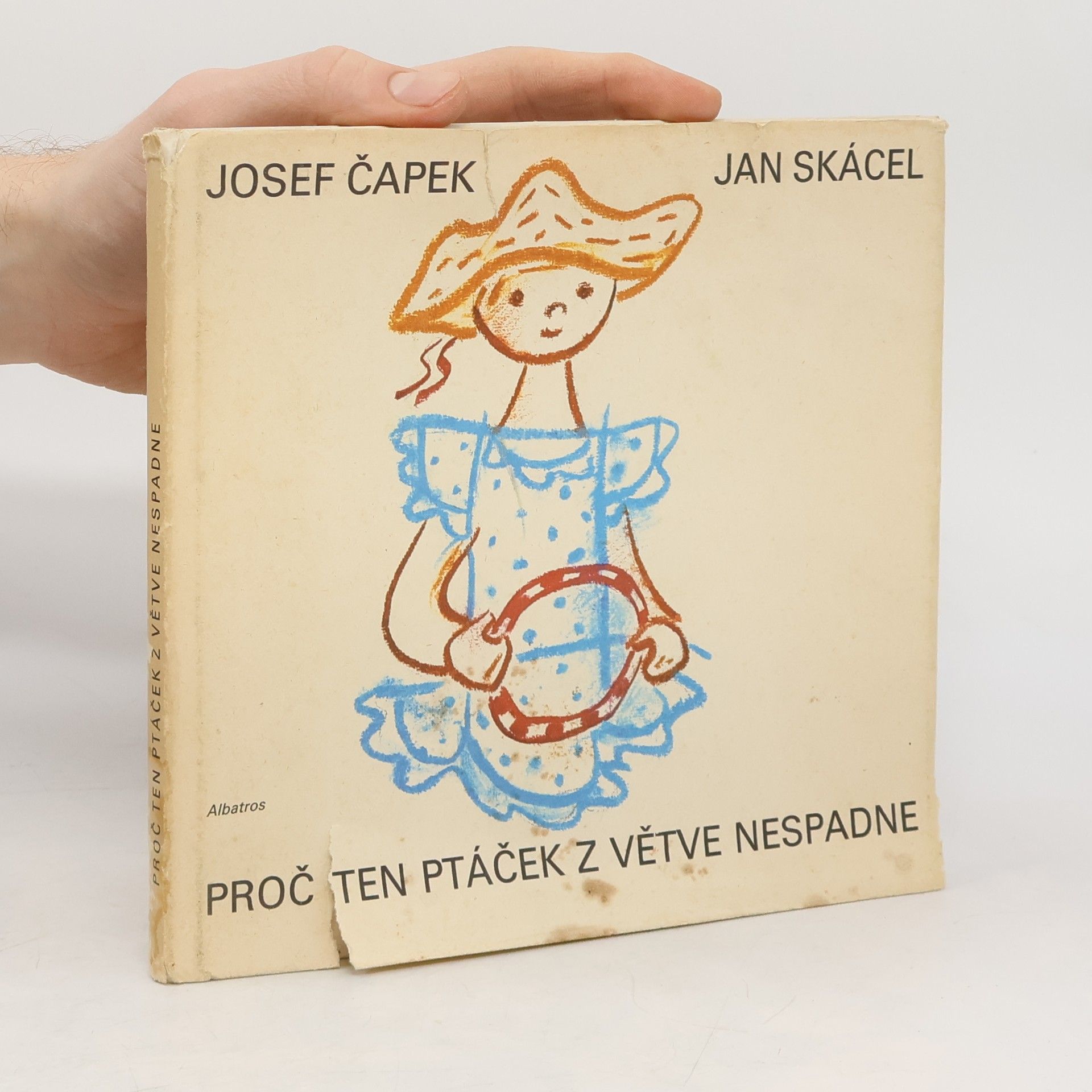 Josef Čapek Proč ten ptáček z větve nespadne