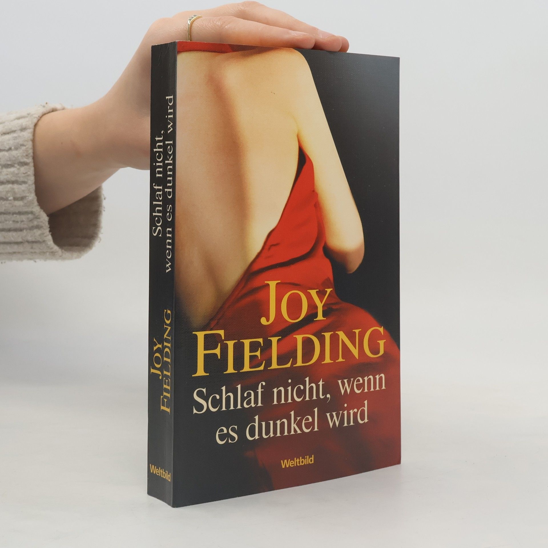 Joy Fielding Schlaf nicht, wenn es dunkel wird