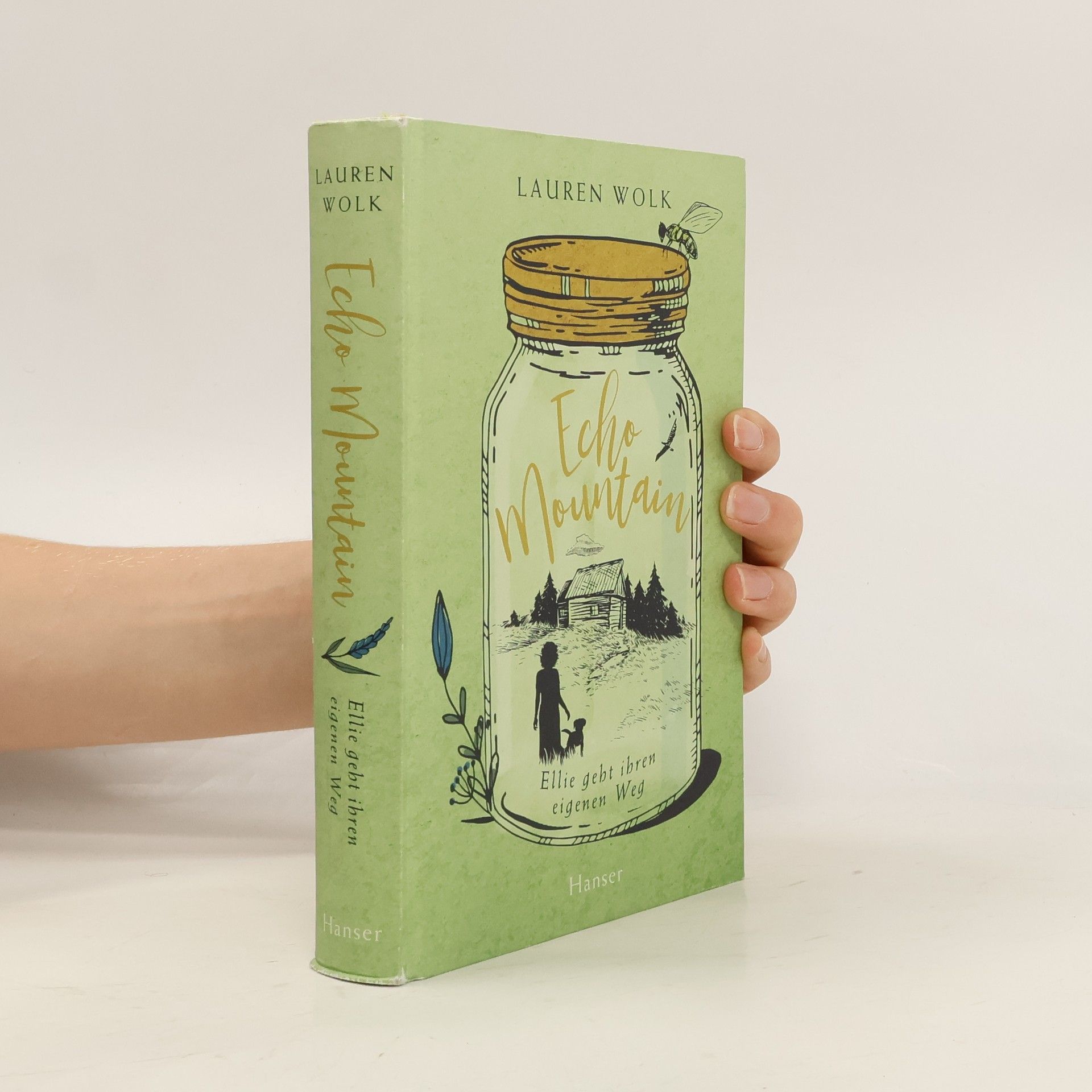 Lauren Wolk Echo Mountain