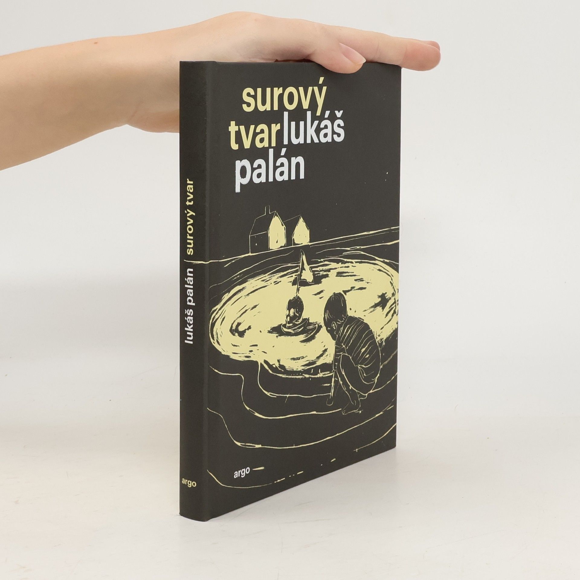 Lukáš Palán Surový tvar