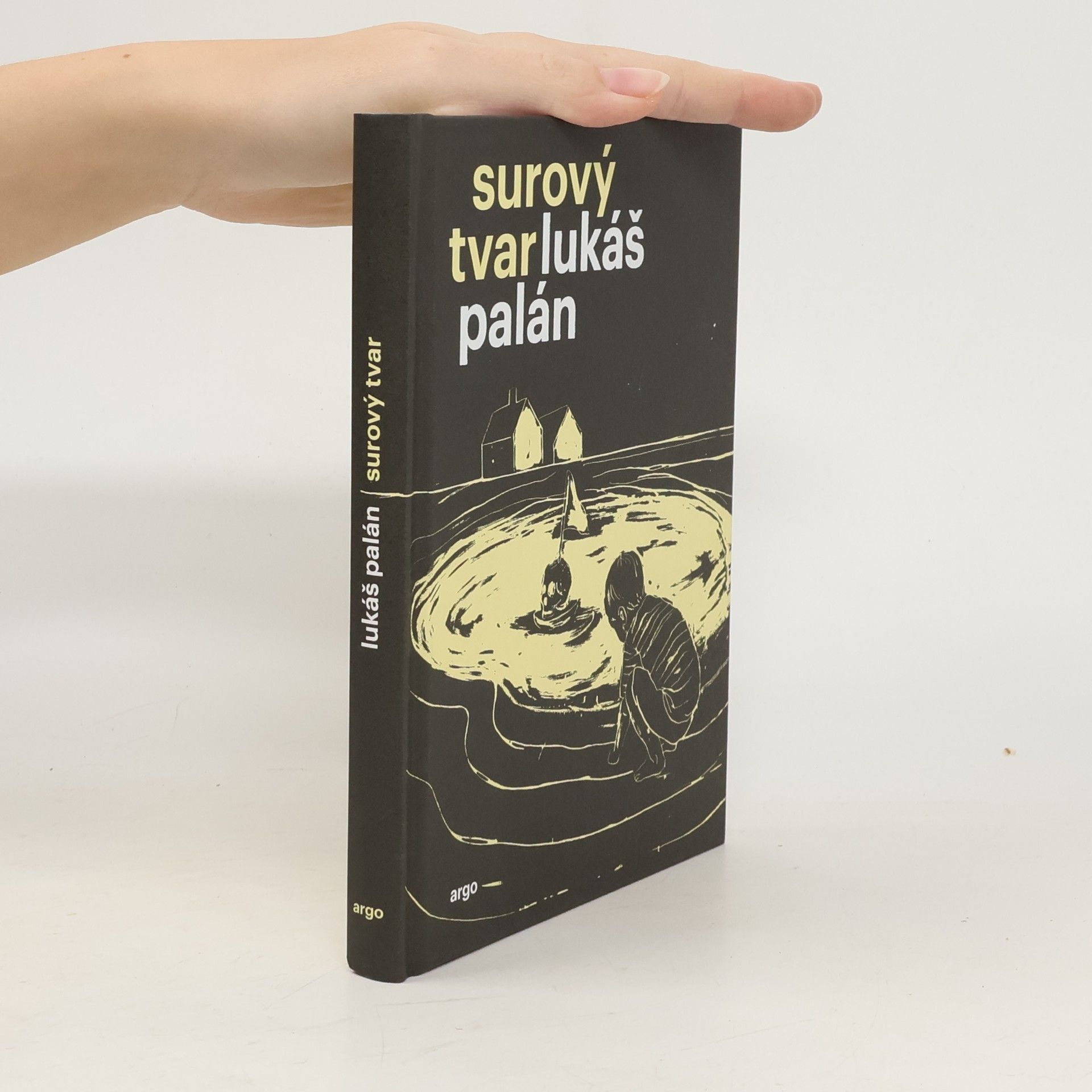 Lukáš Palán Surový tvar