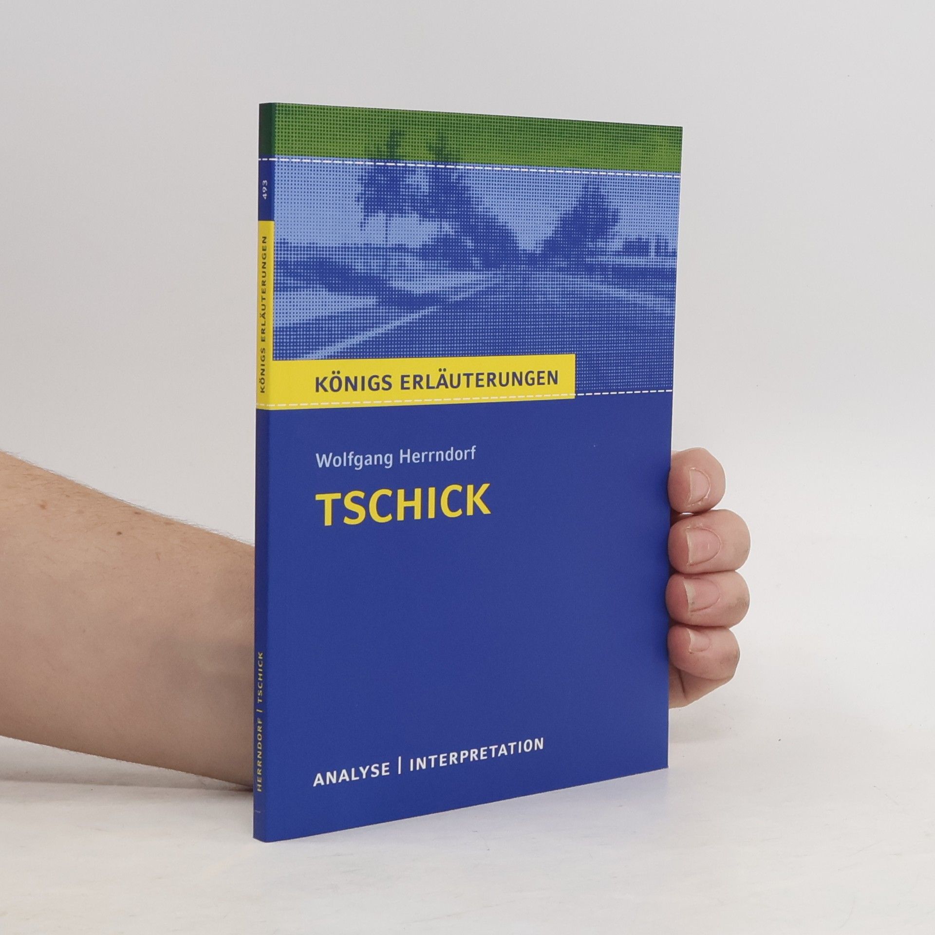 Thomas Möbius Tschick von Wolfgang Herrndorf