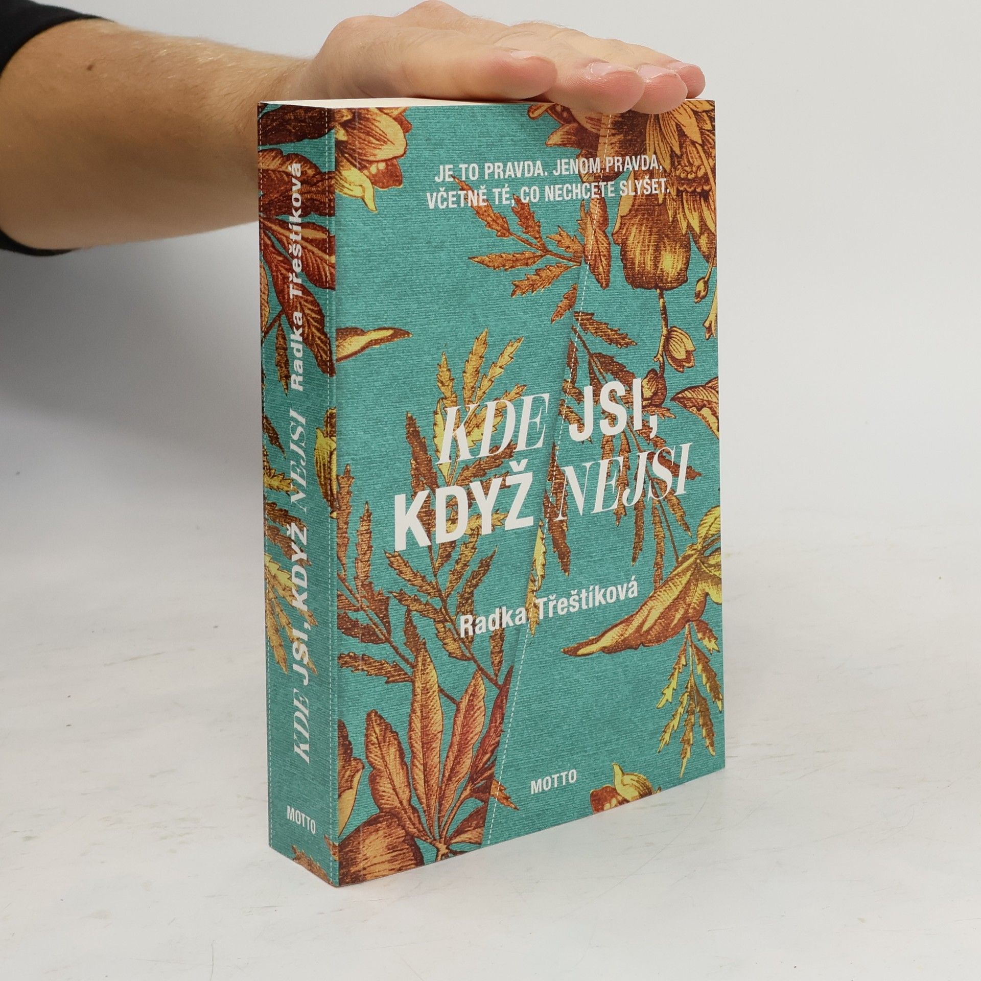 Radka Třeštíková Kde jsi, když nejsi