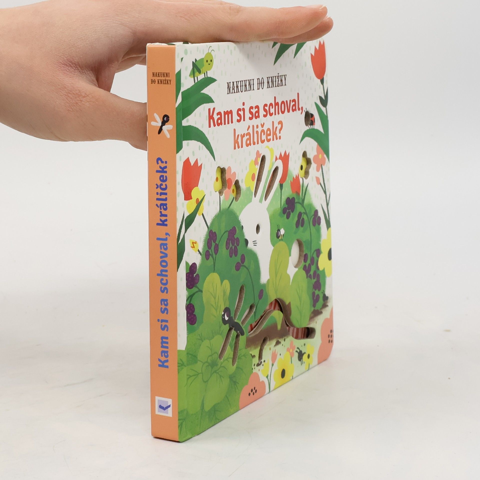 Tamplin Sam Kam si sa schoval králiček?