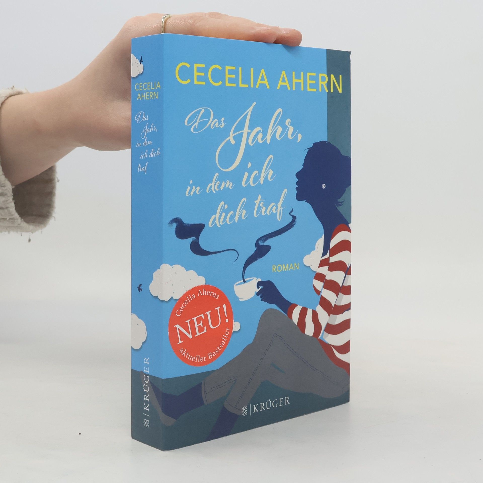 Cecelia Ahern Das Jahr, in dem ich dich traf