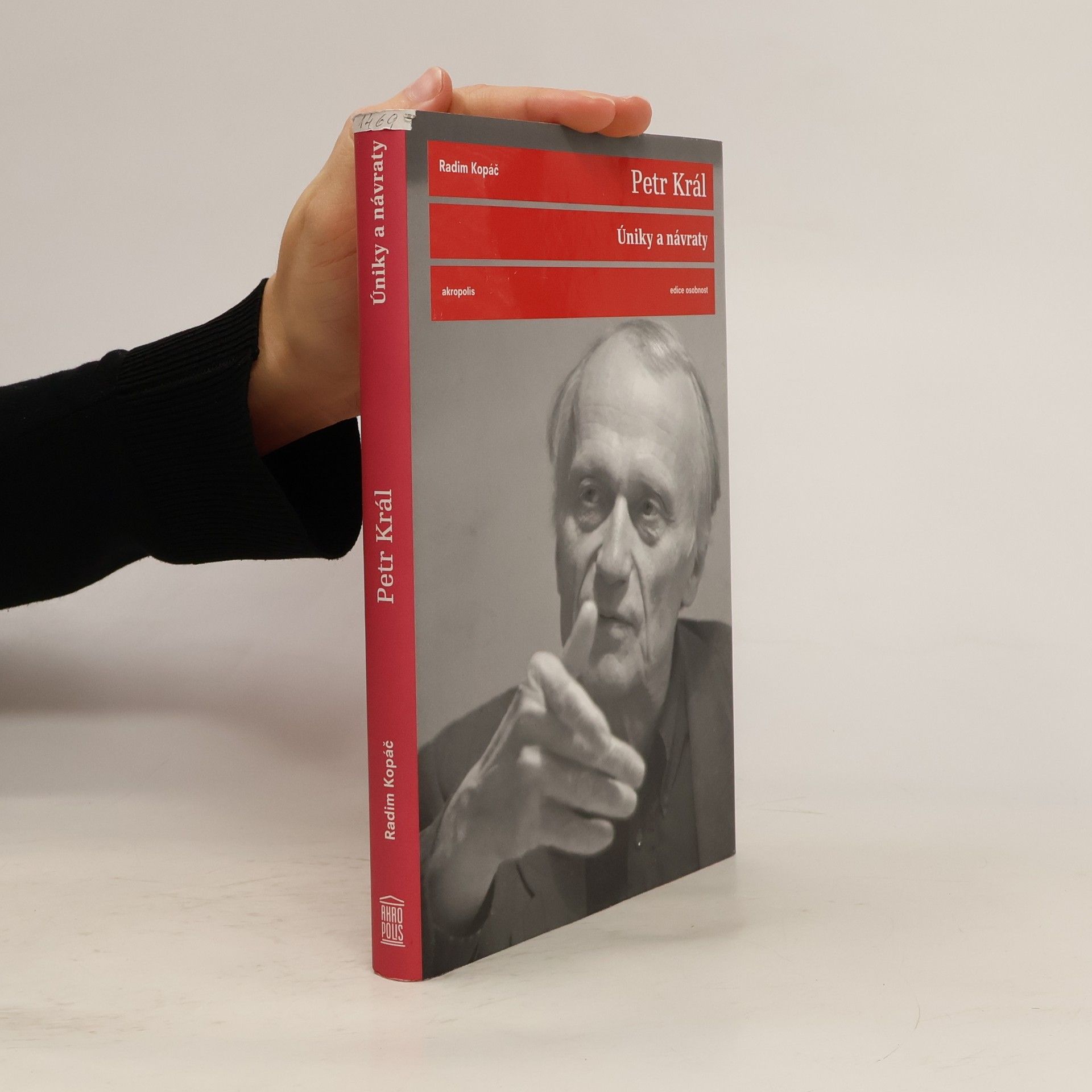 Radim Kopáč Petr Král. Úniky a návraty. Rozhovor