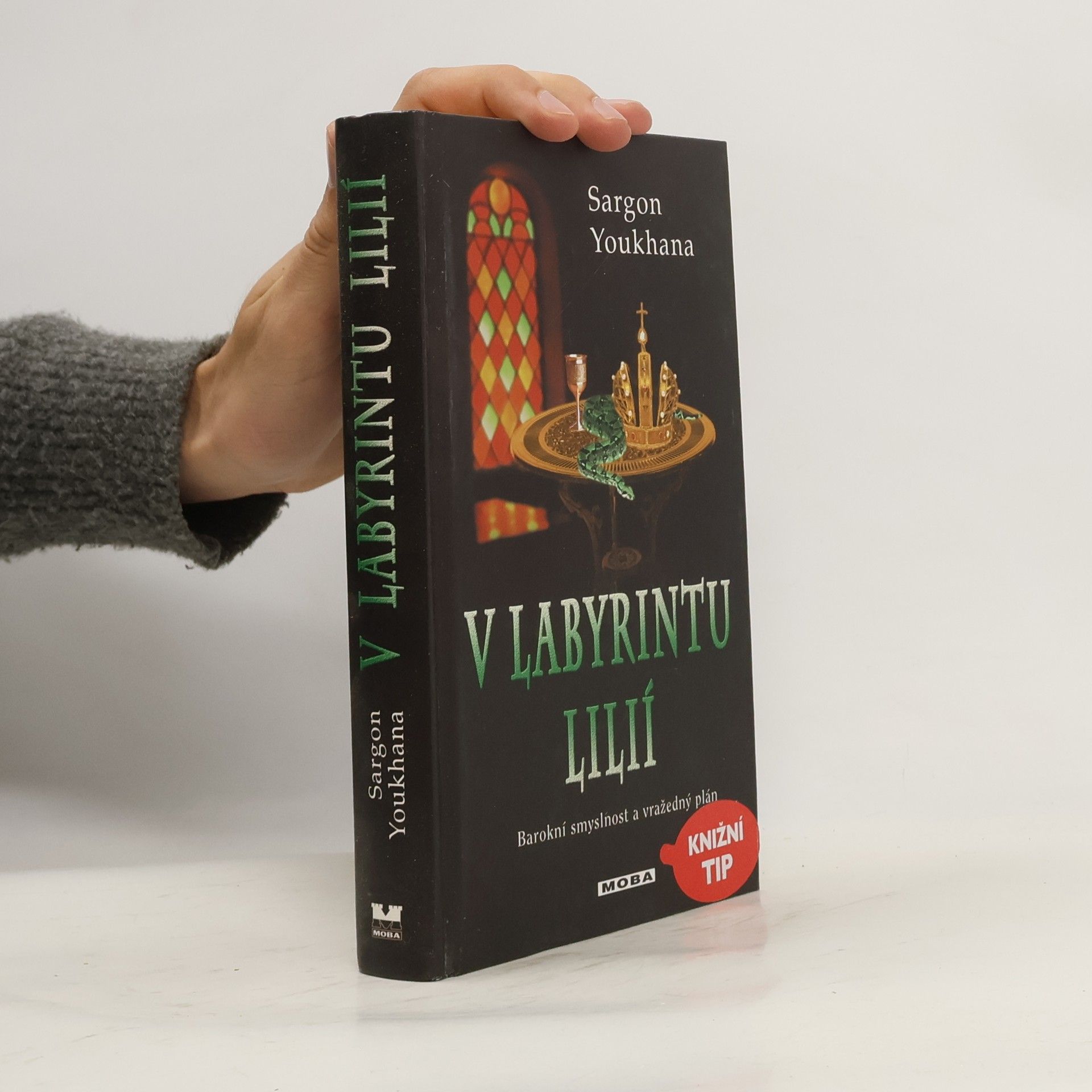 Sargon Youkhana V labyrintu lilií