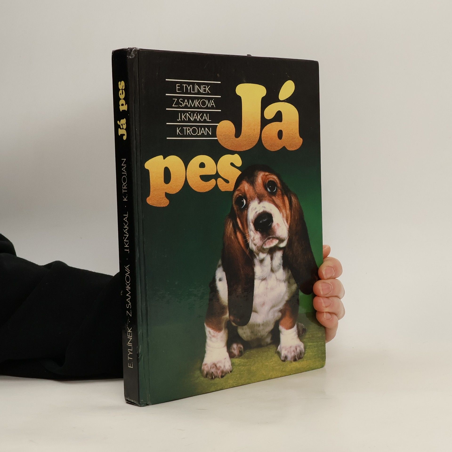 Erich Tylínek Já pes