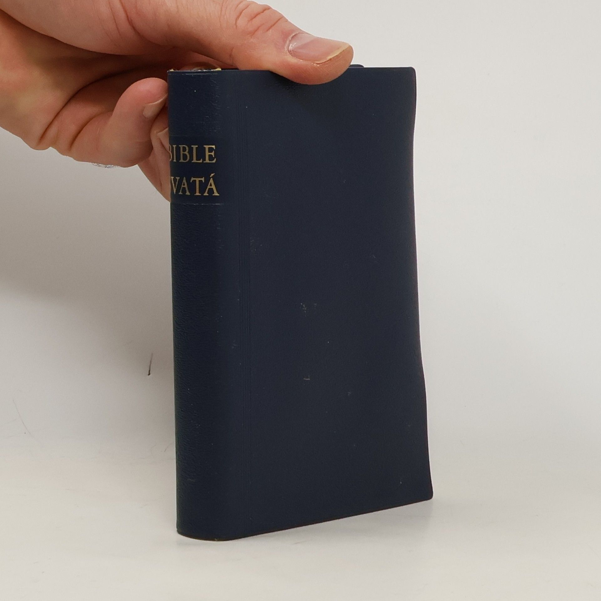 Kolektiv autorů Bible svatá