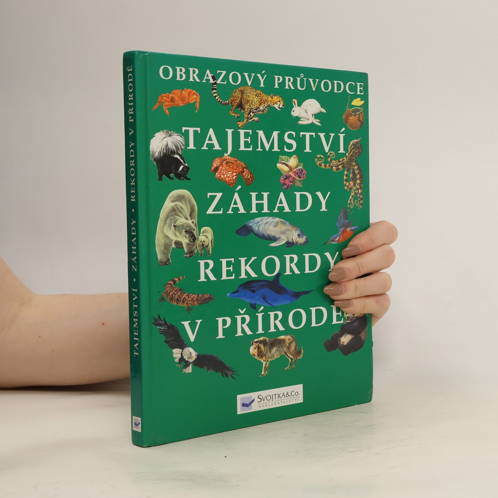 Autorenkollektiv Tajemství, záhady, rekordy v přírodě