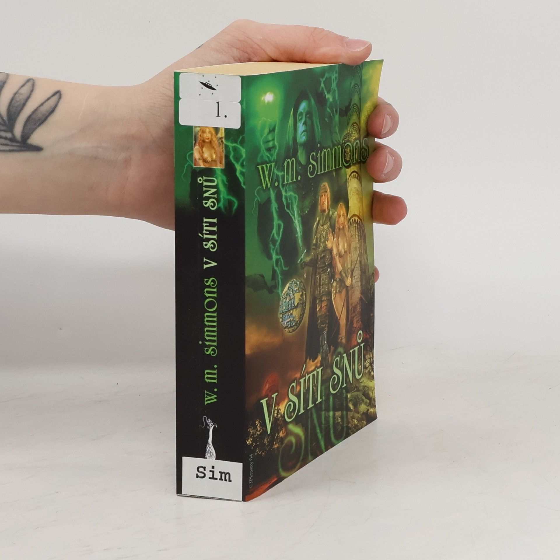 V síti snů. Kroniky Dreamlandu 1