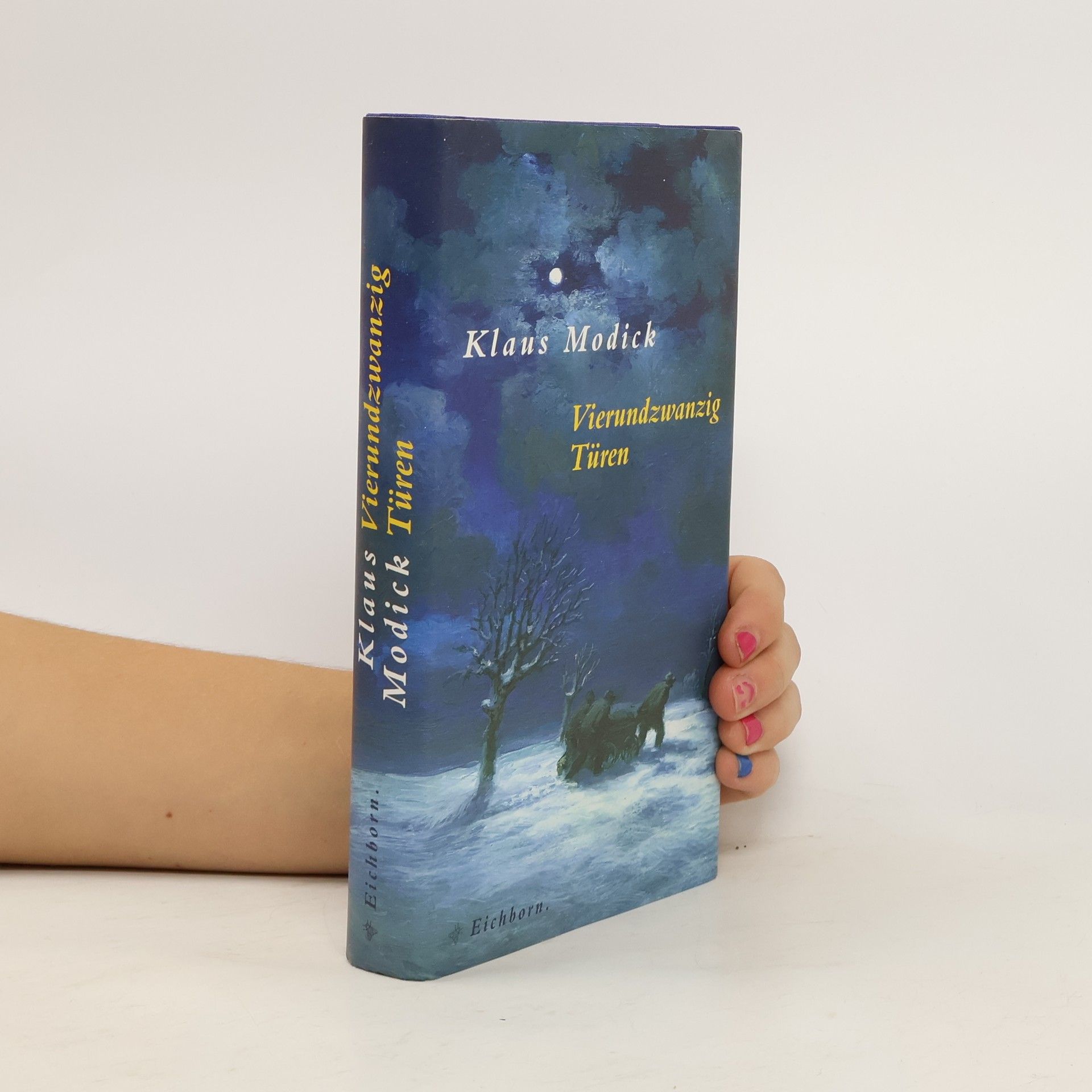 Klaus Modick Vierundzwanzig Türen