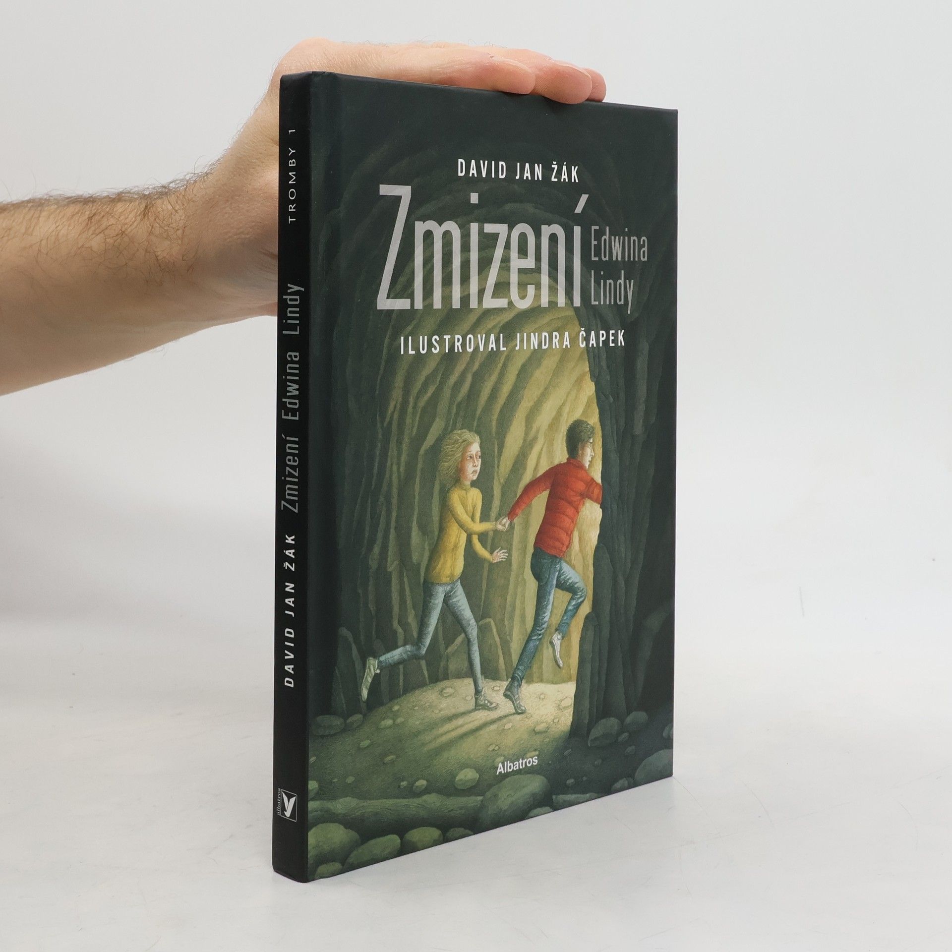 Zmizení Edwina Lindy