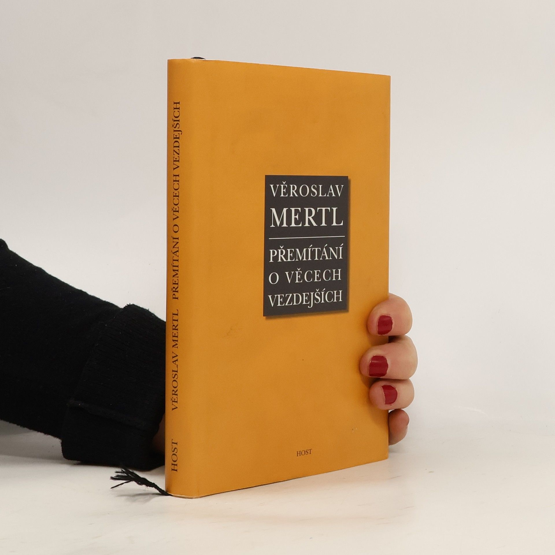 Věroslav Mertl Přemítání o věcech vezdejších