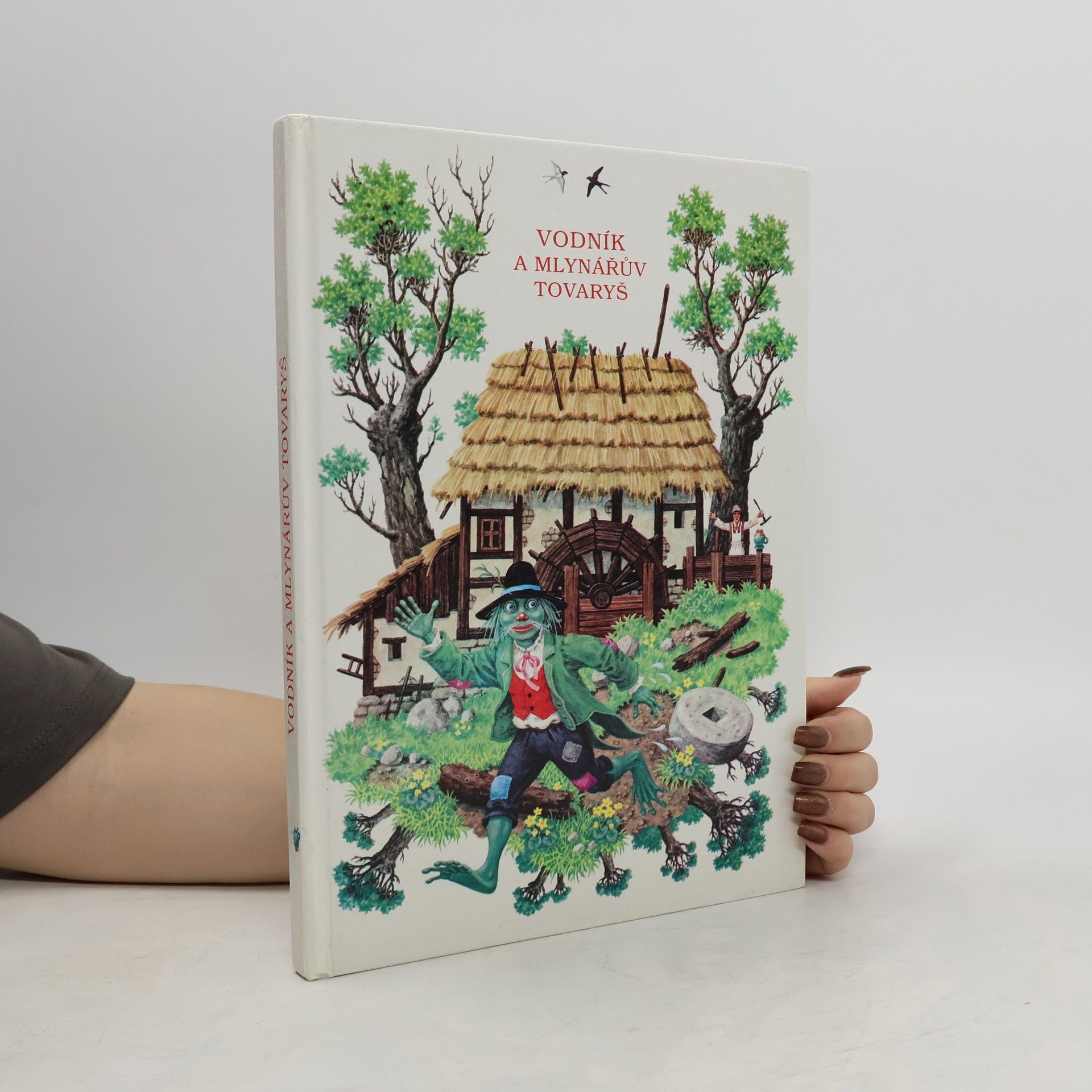 Marián Čapka Vodník a mlynářův tovaryš