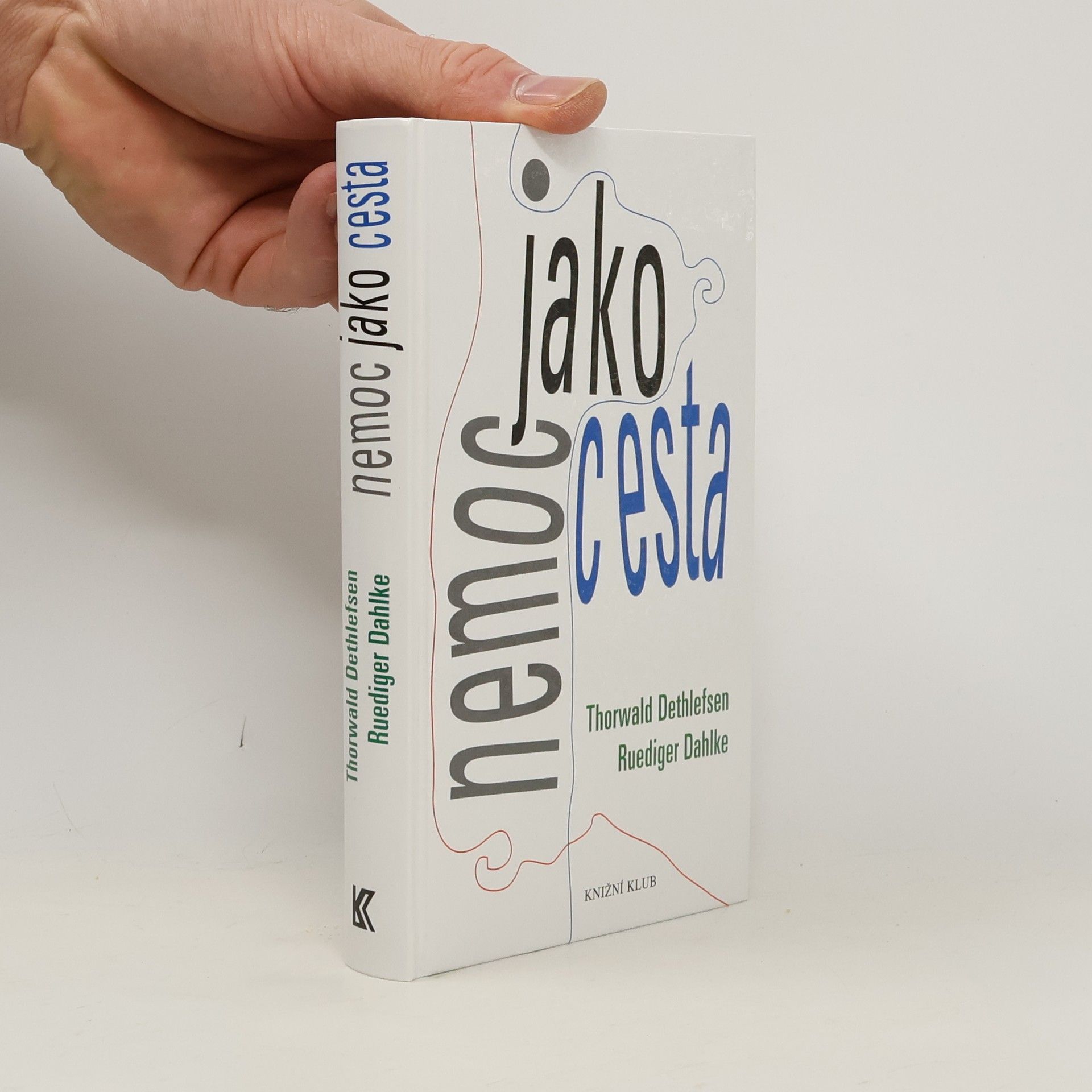 Thorwald Dethlefsen Nemoc jako cesta