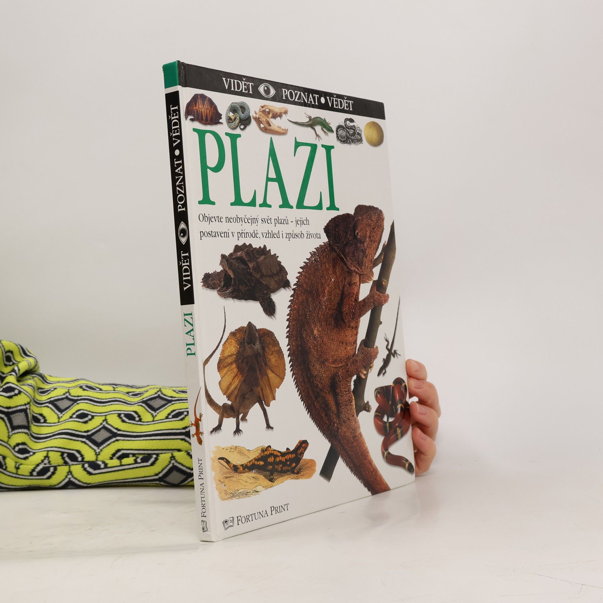 Colin McCarthy Plazi