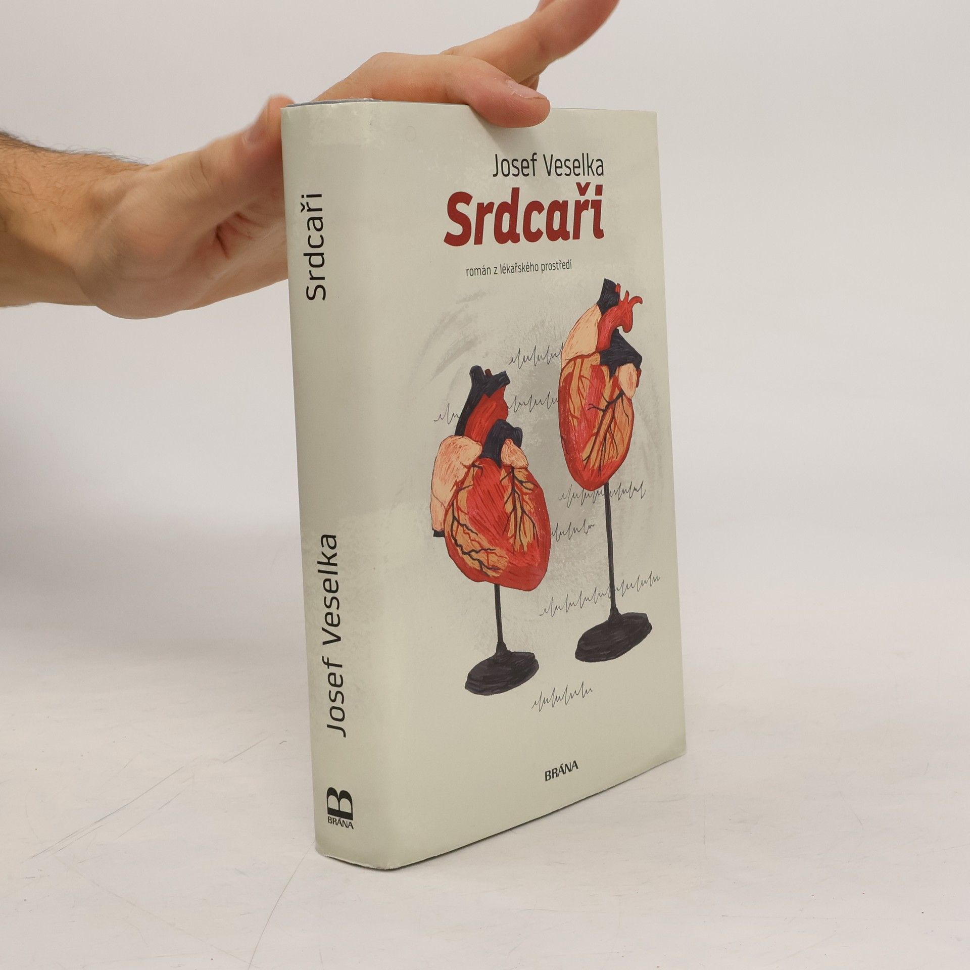 Josef Veselka Srdcaři