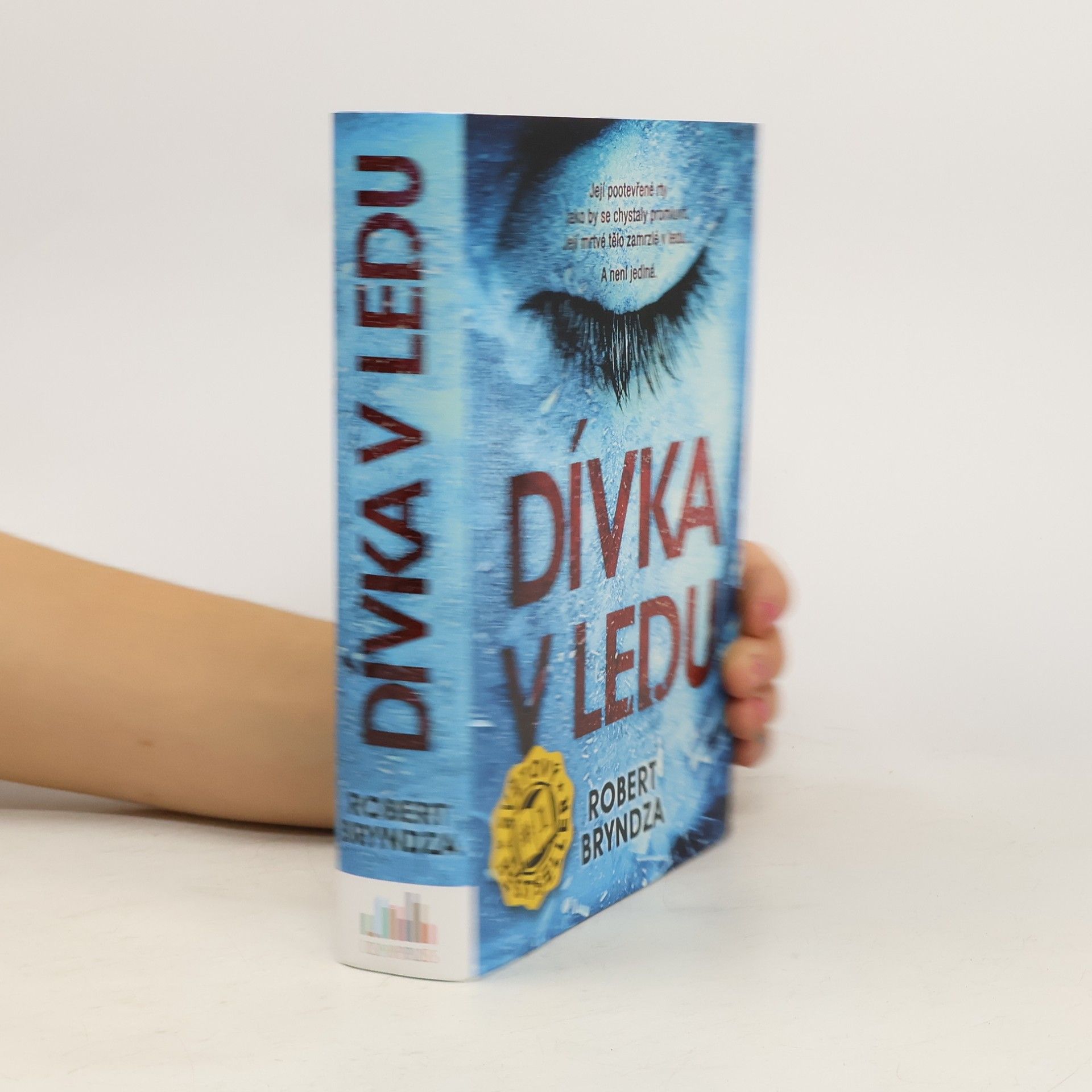 Robert Bryndza Dívka v ledu