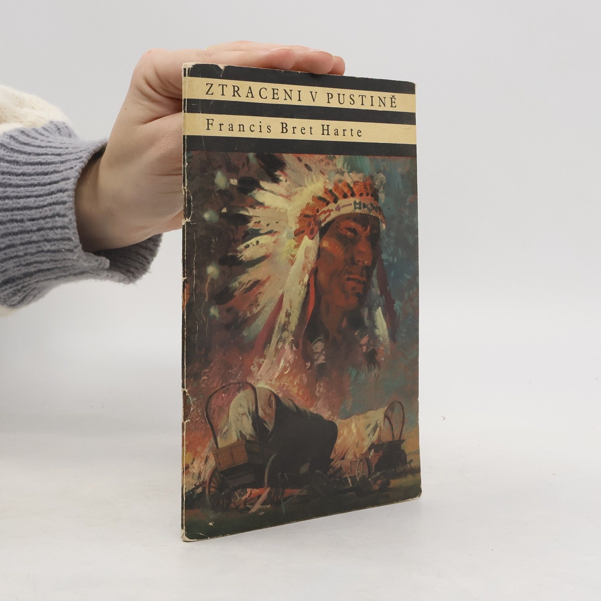 Bret Harte Ztraceni v pustině