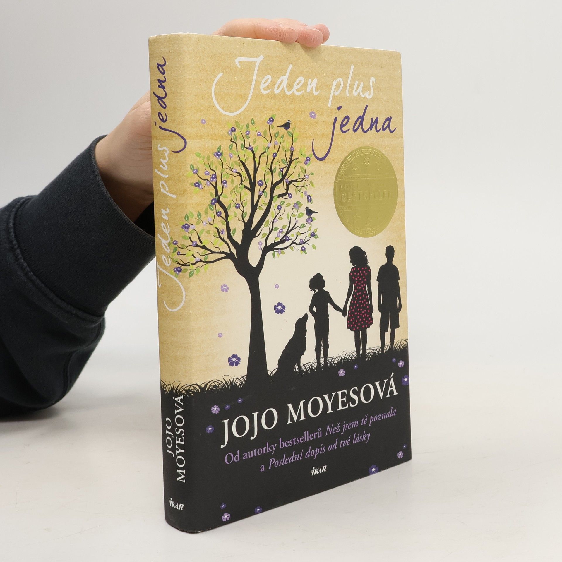 Jojo Moyesová Jeden plus jedna