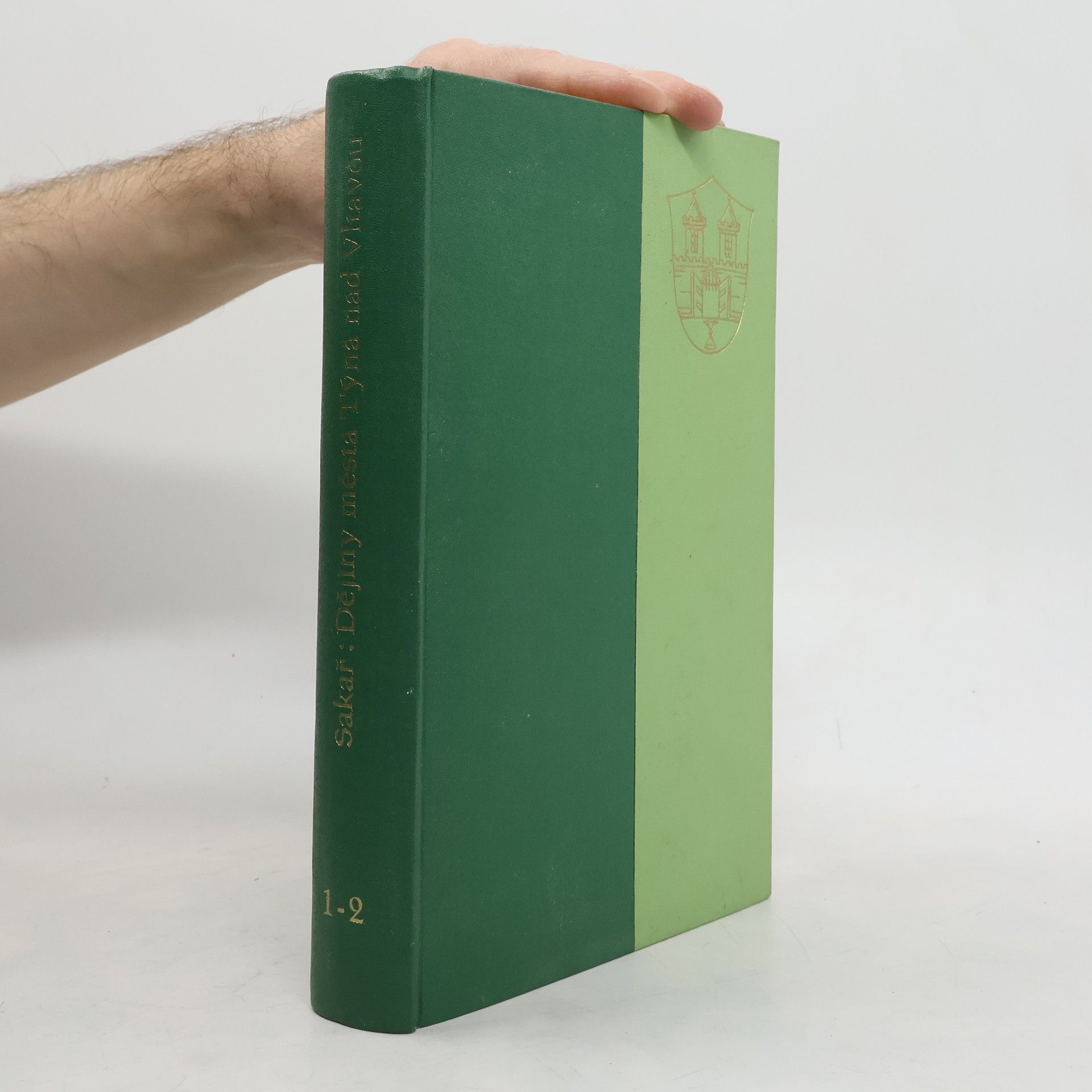 Dějiny města Týna nad Vltavou a okolí I.