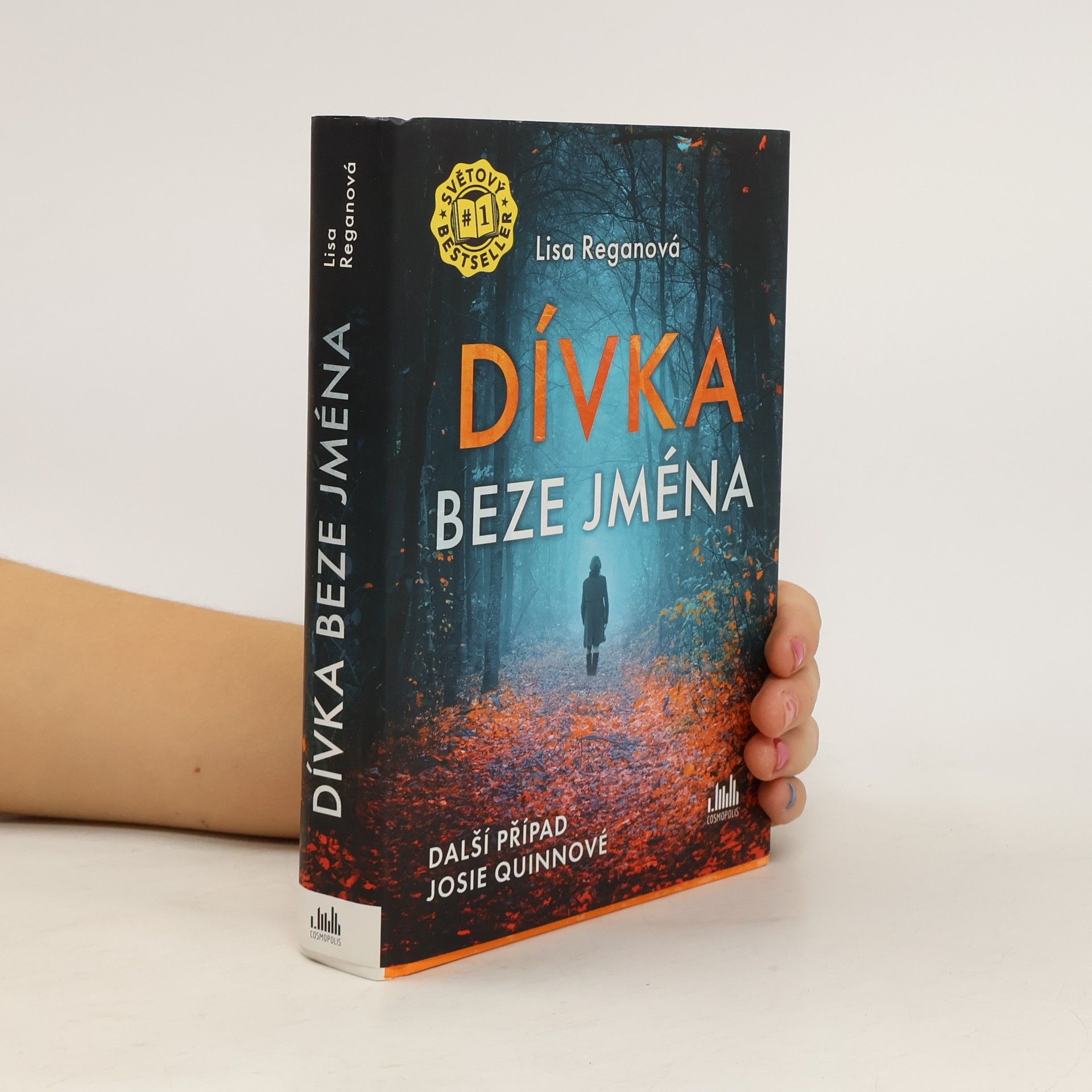 Lisa Regan Dívka beze jména: Další případ Josie Quinnové