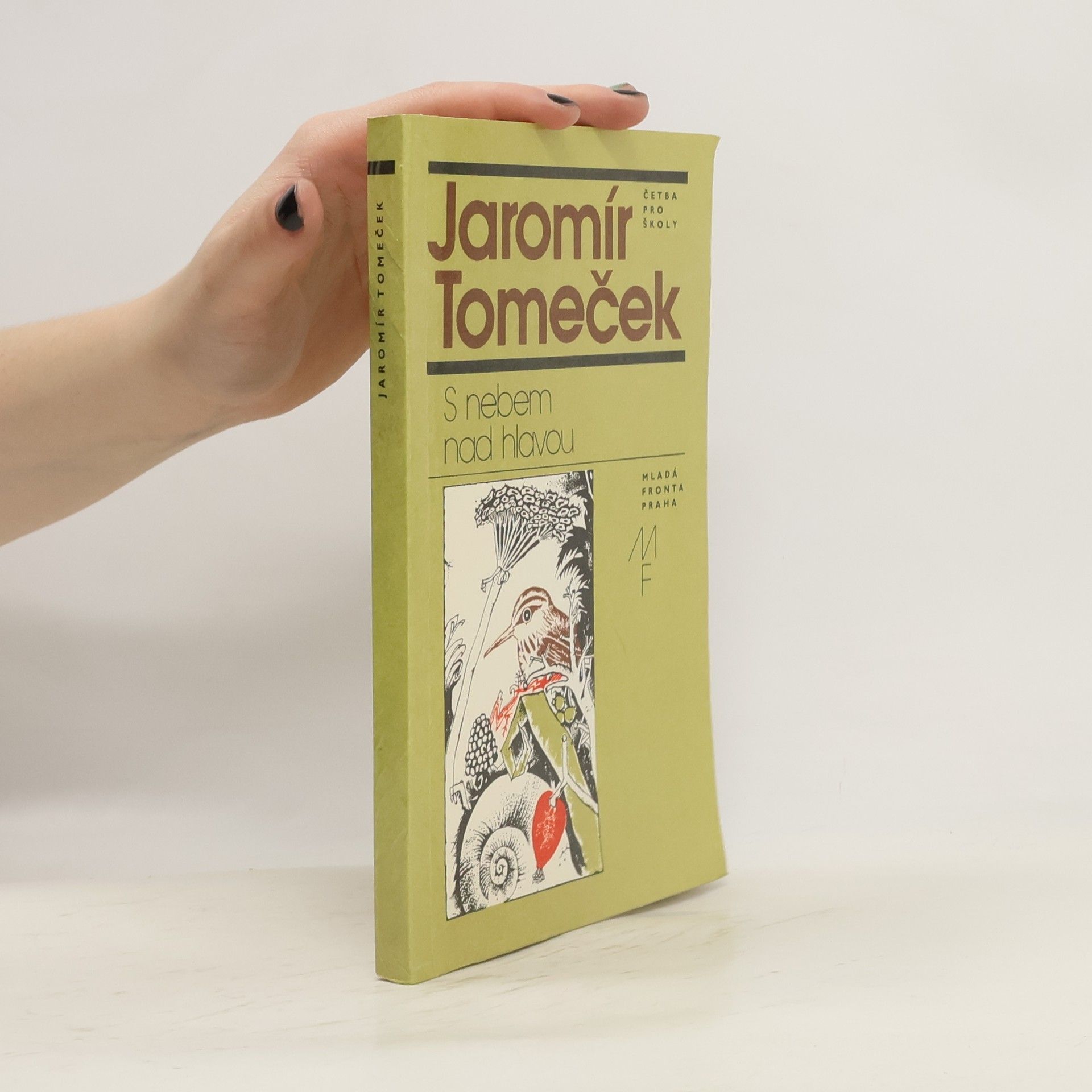 Jaromír Tomeček S nebem nad hlavou