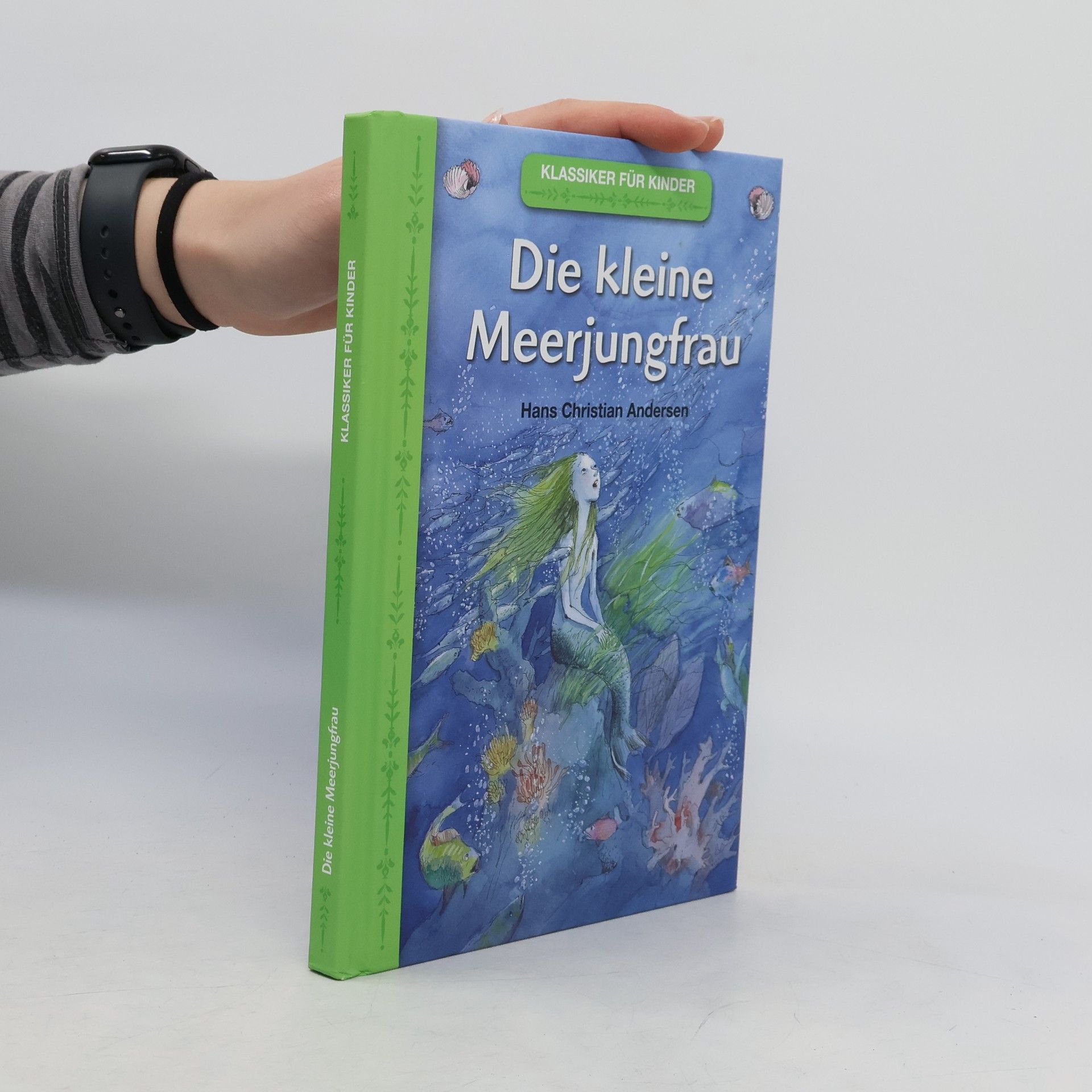 Hans Christian Andersen Klassiker für Kinder. Die kleine Meerjungfrau