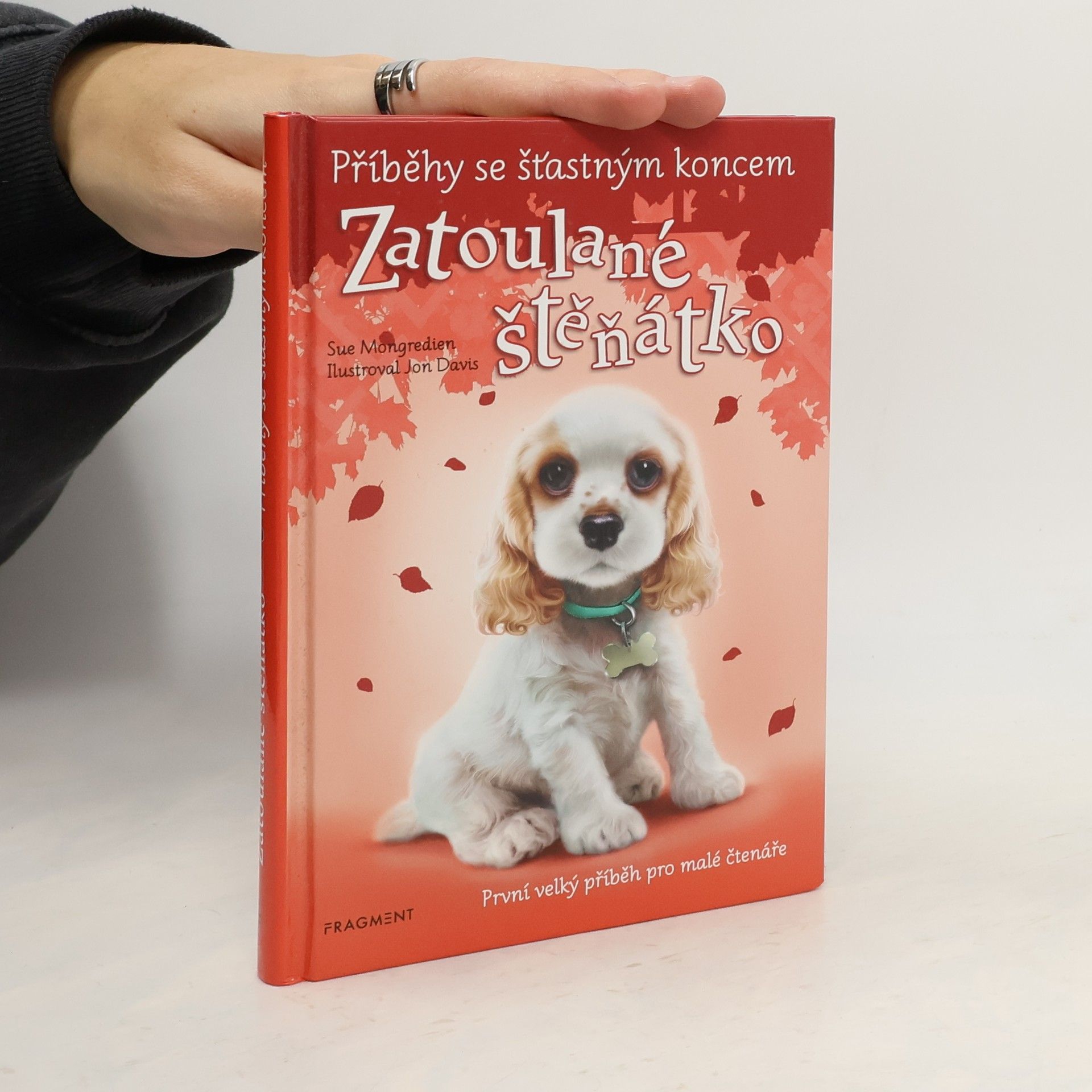 Jon Davis Zatoulané štěňátko