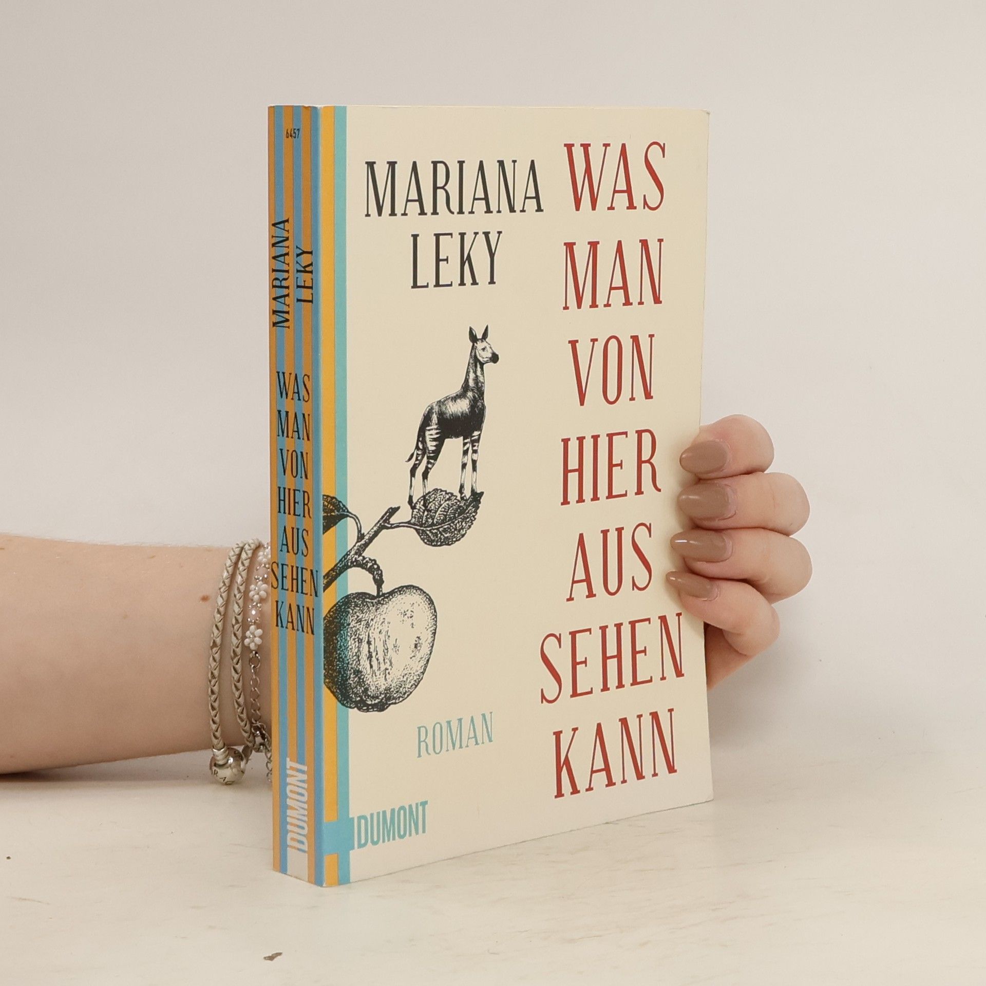 Mariana Leky Was man von hier aus sehen kann