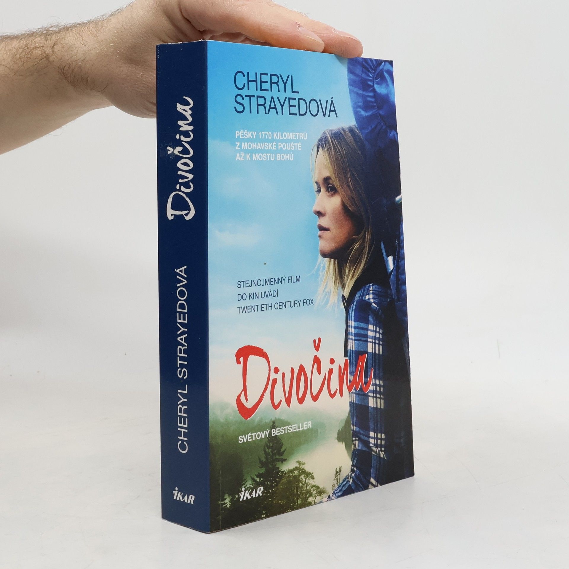 Cheryl Strayed Divočina. Pěšky 1770 kilometrů z Mohavské pouště až k mostu bohů