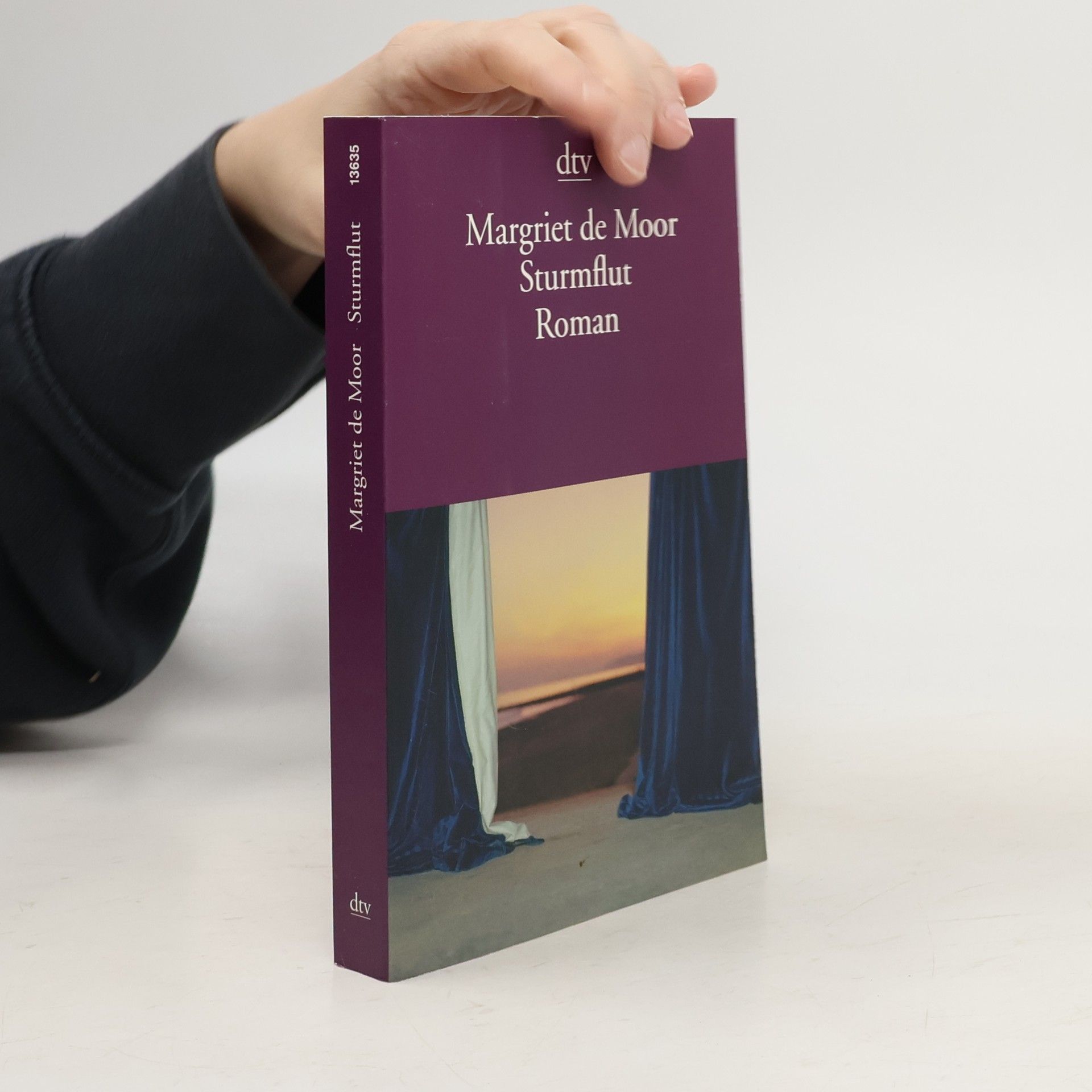 Margriet de Moor Sturmflut