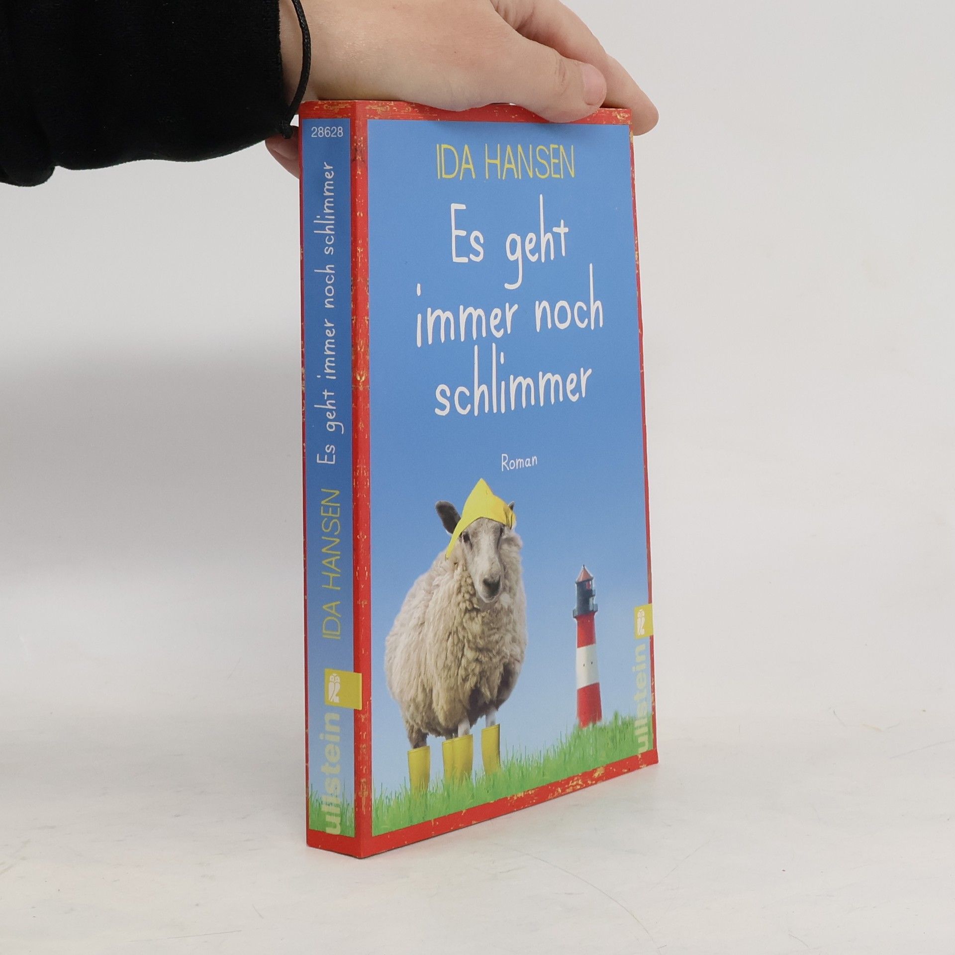 Ida Hansen Es geht immer noch schlimmer