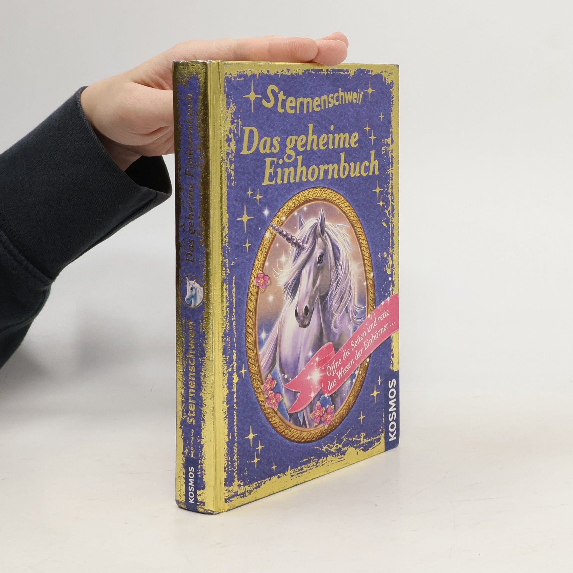 Anne Scheller Sternenschweif - das geheime Einhornbuch