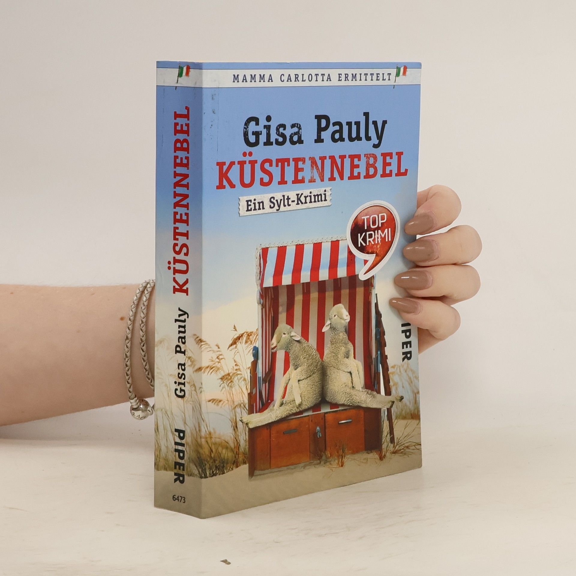 Gisa Pauly Küstennebel