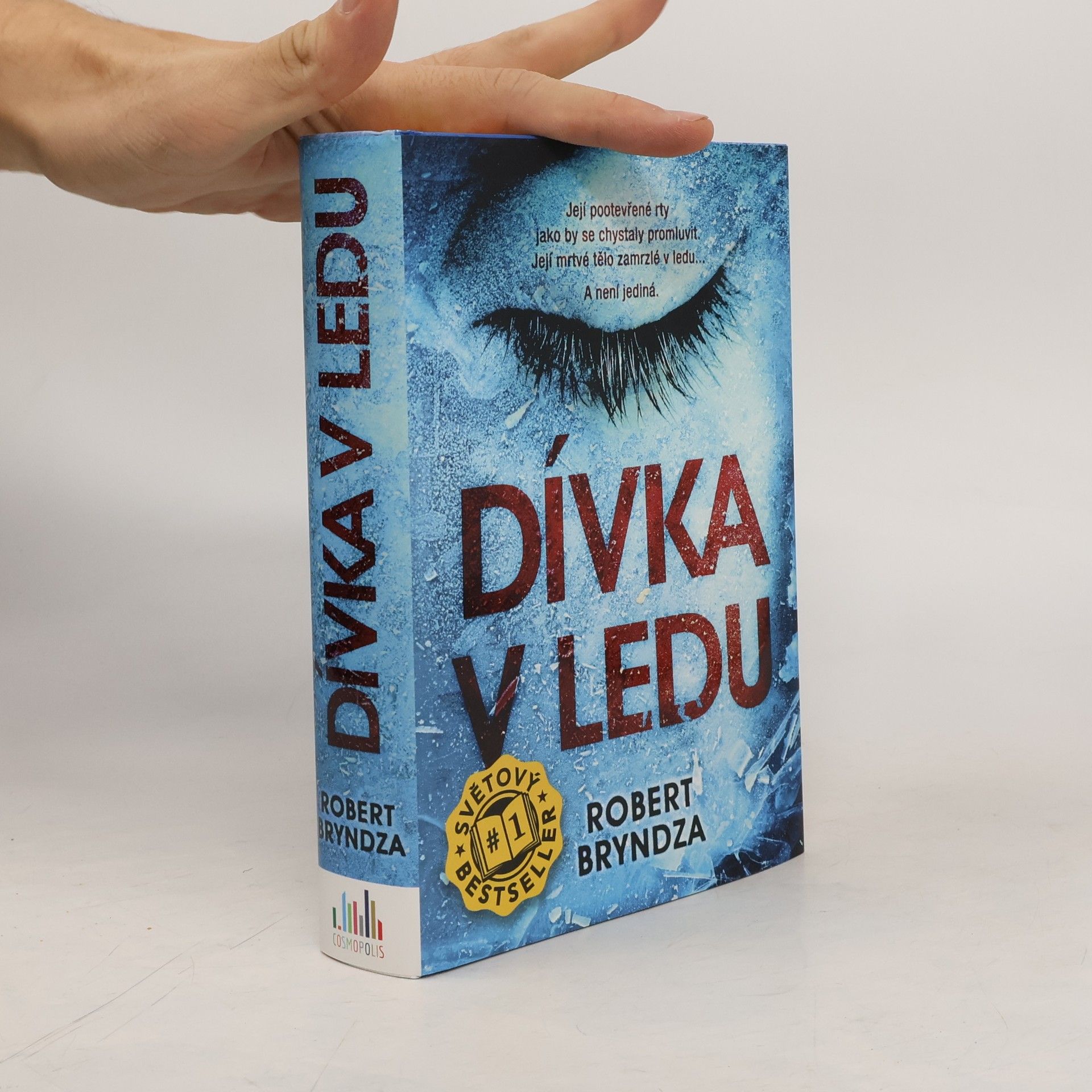 Dívka v ledu
