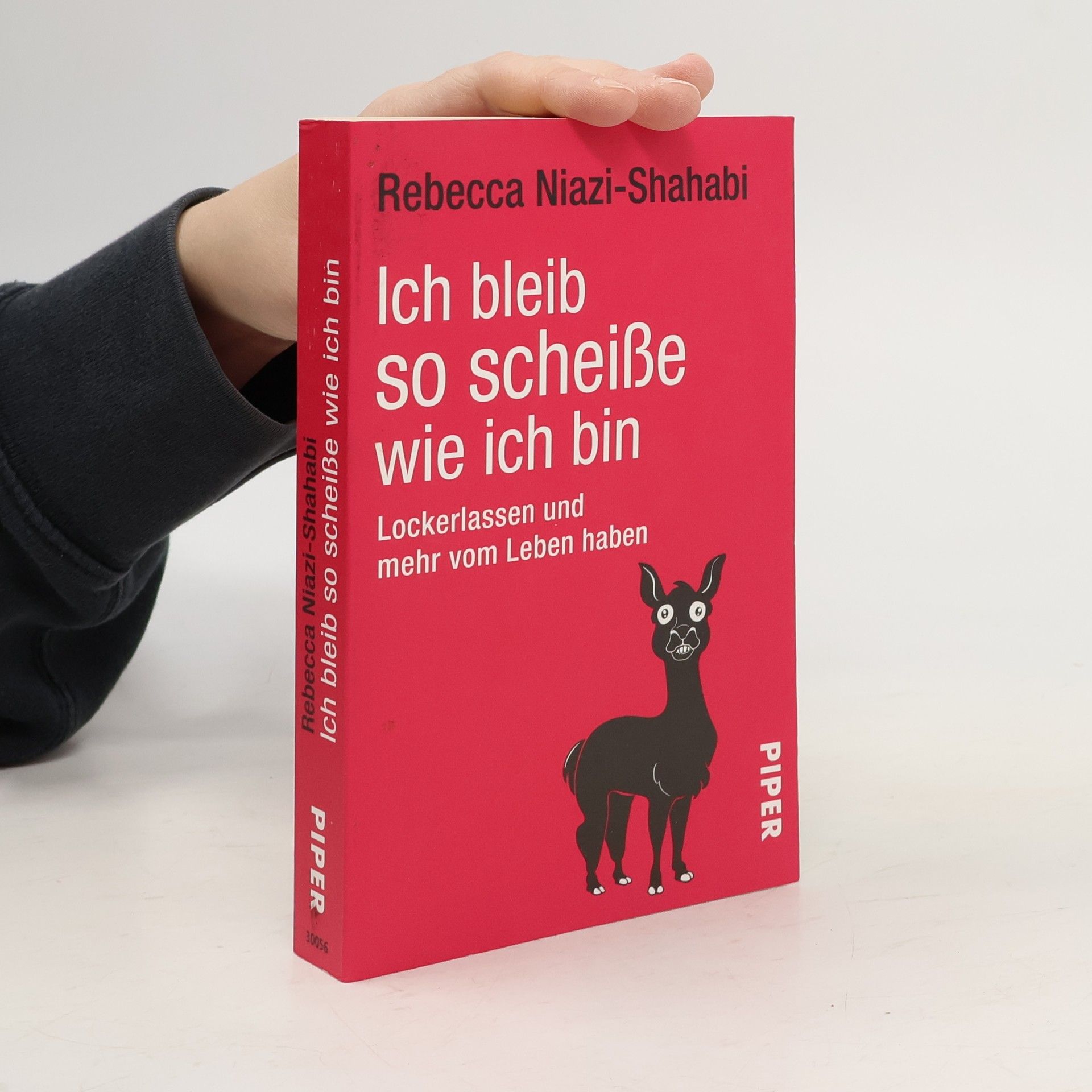 Rebecca Niazi-Shahabi Ich bleib so scheiße wie ich bin