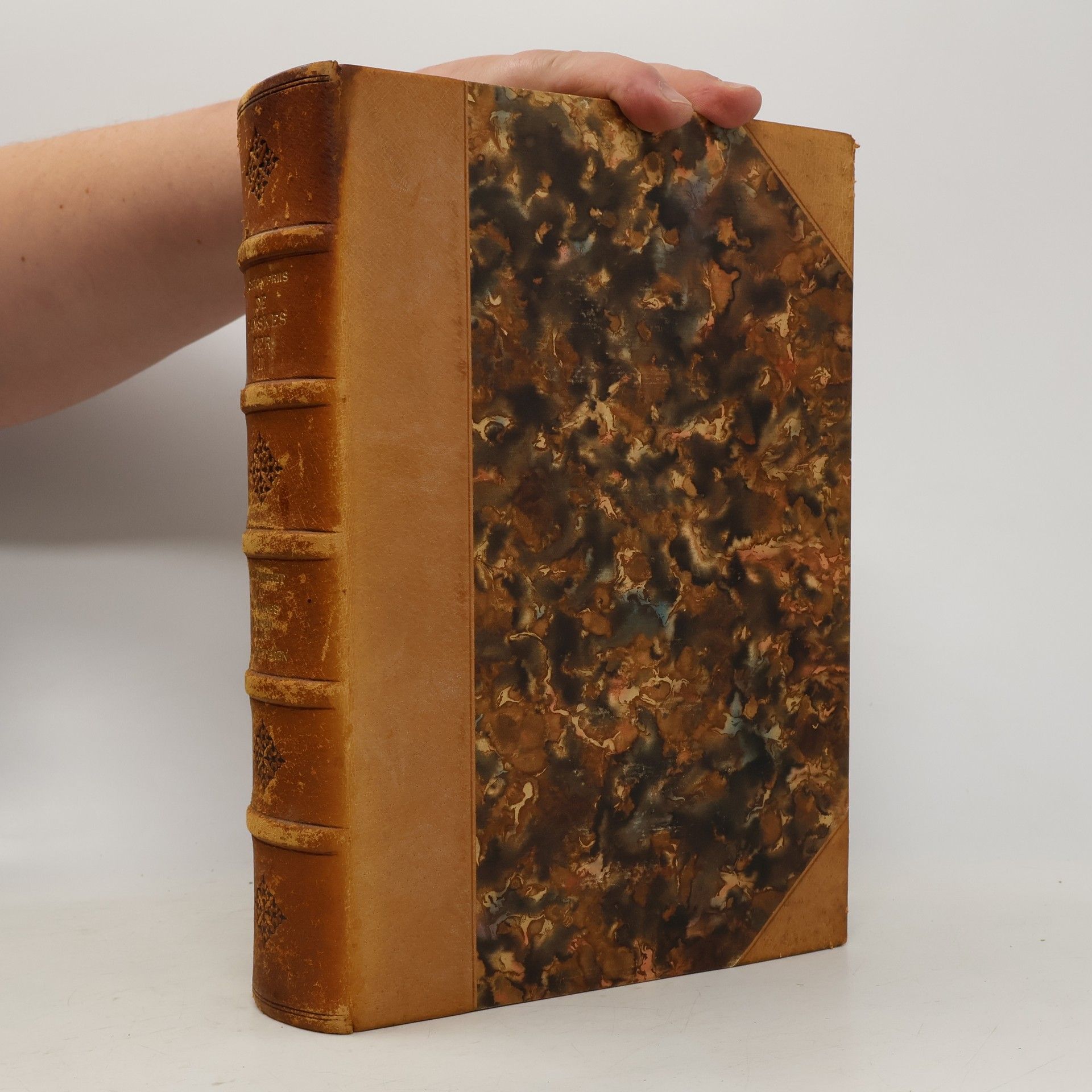 Achton Friis De danskes øer II