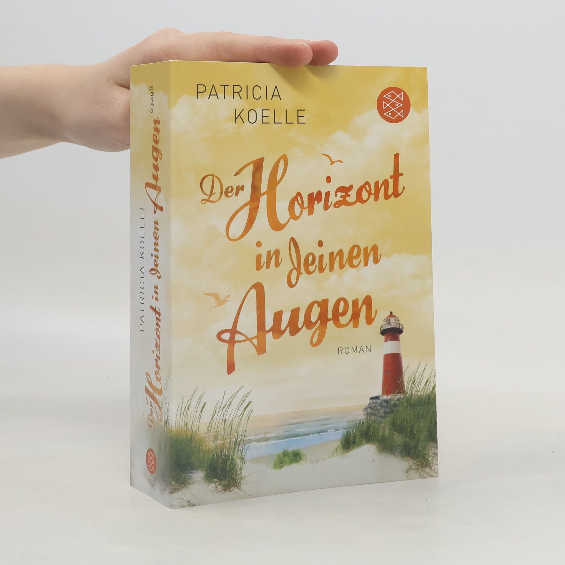 Patricia Koelle Der Horizont in deinen Augen