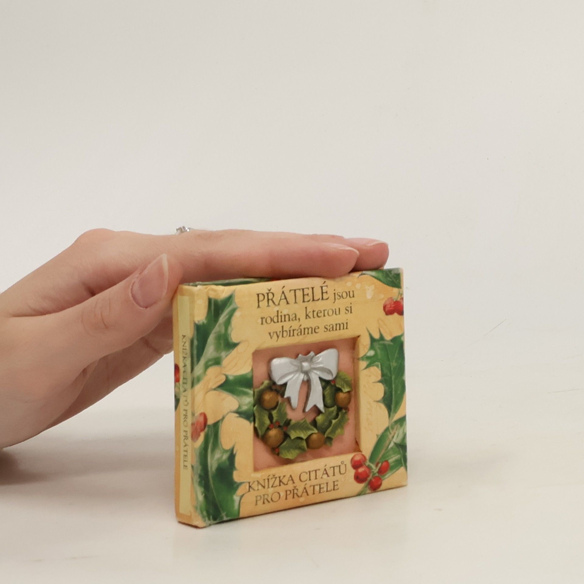 Přátelé jsou rodina, kterou si vybíráme sami