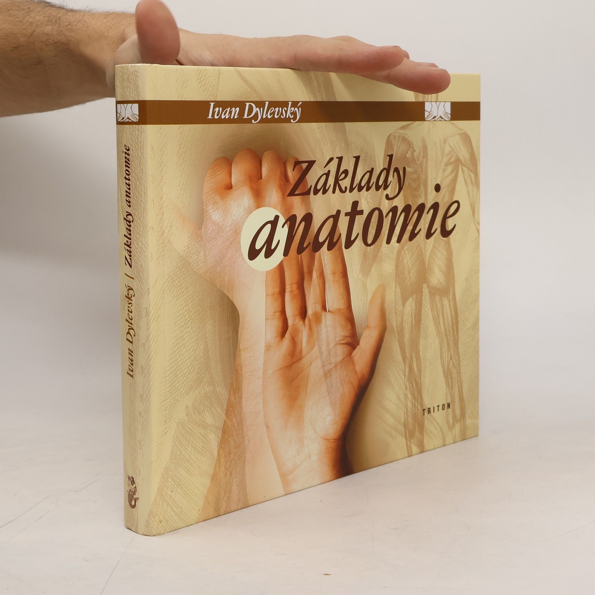 Základy anatomie