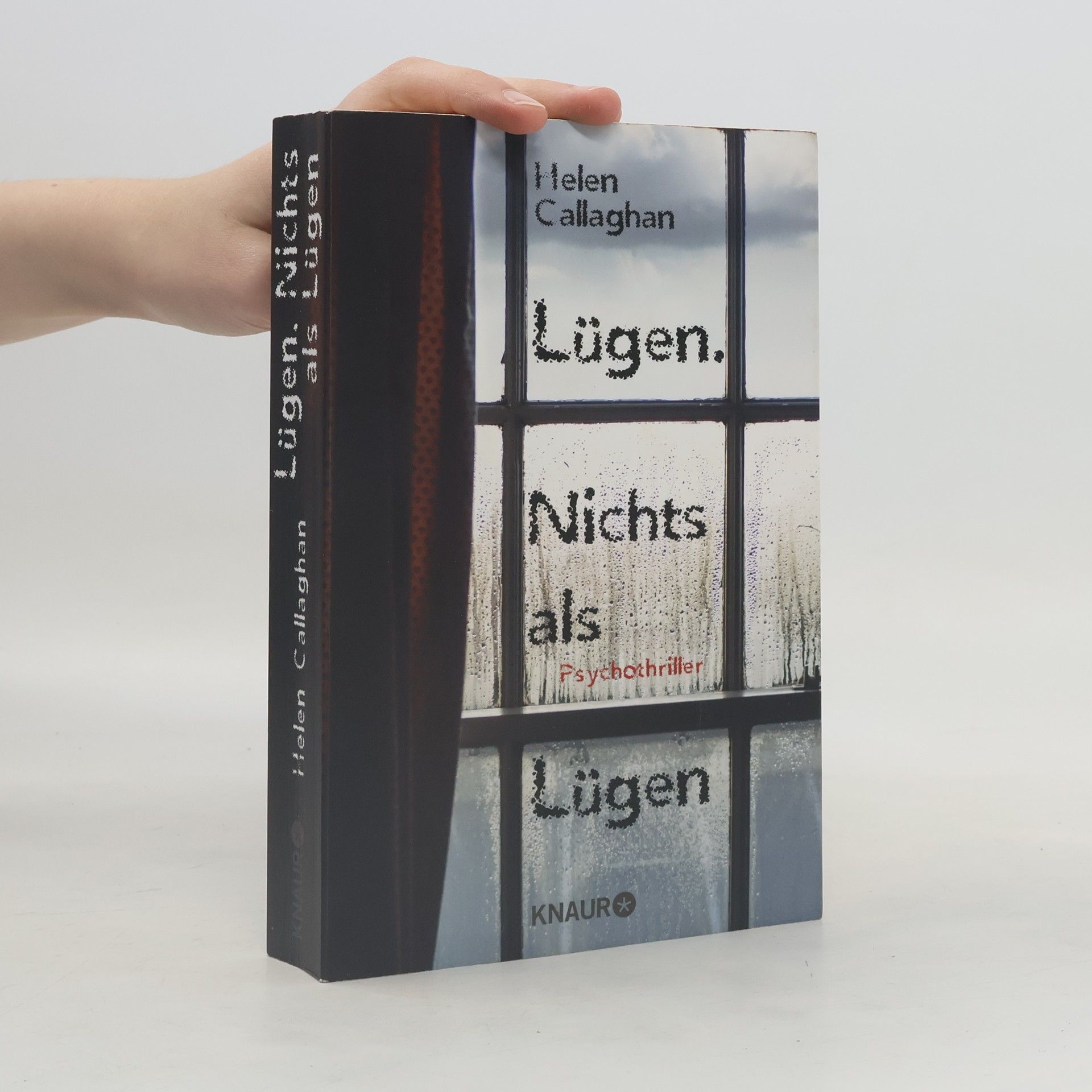 Helen Callaghan Lügen. Nichts als Lügen