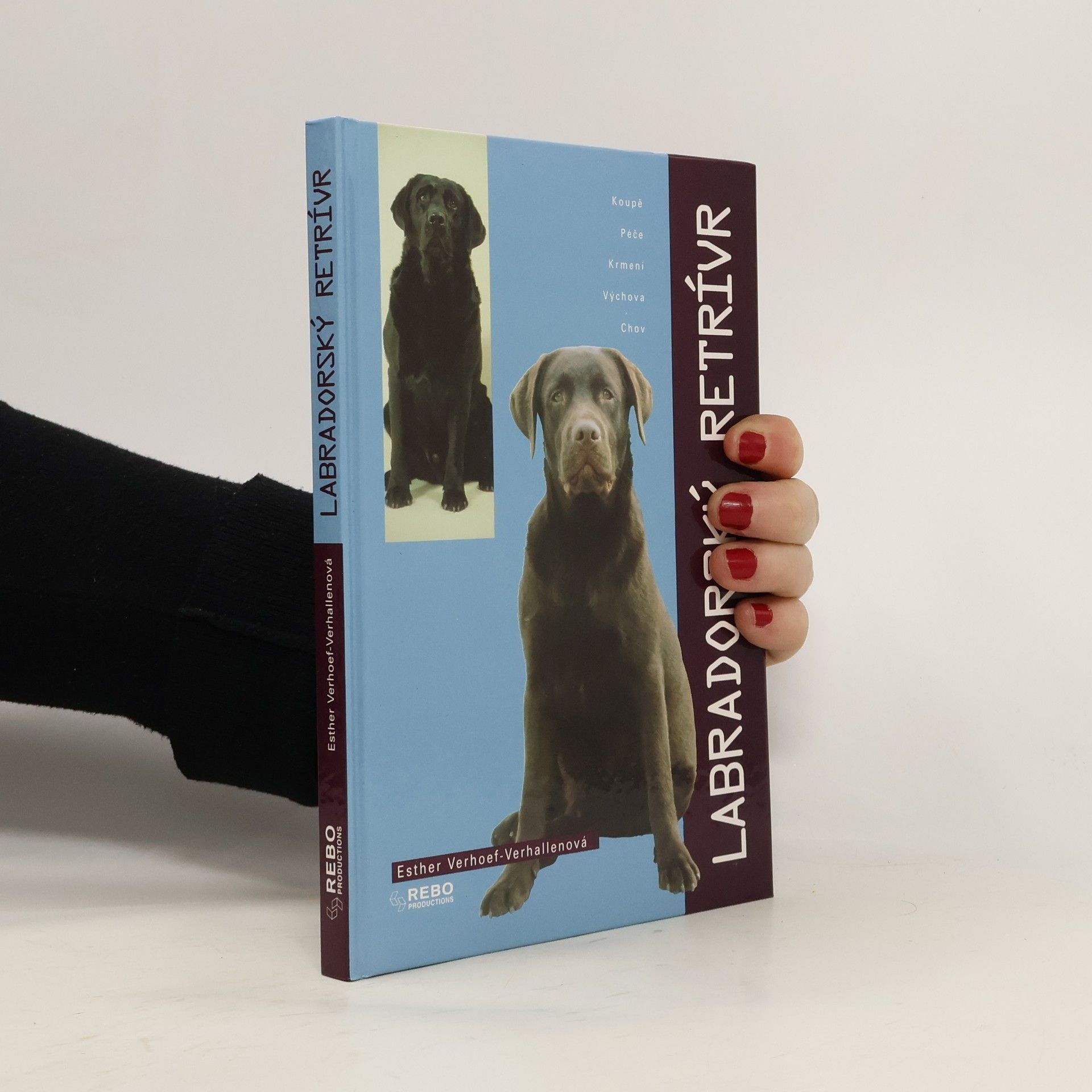 Labradorský retrívr