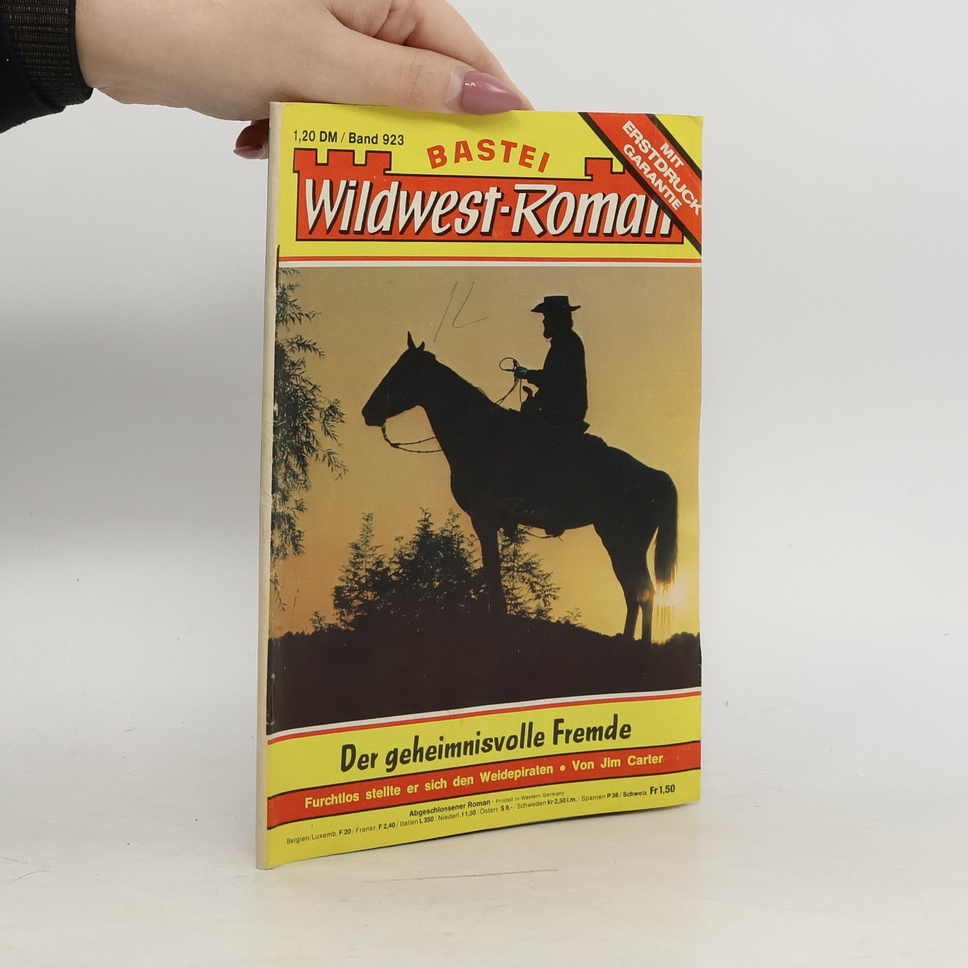 Collectif d'auteurs Der geheimnisvolle Fremde