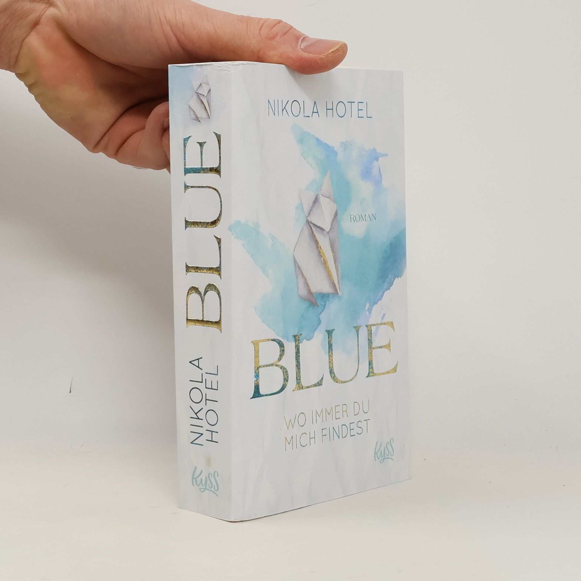 Nikola Hotel Blue. Wo immer du mich findest