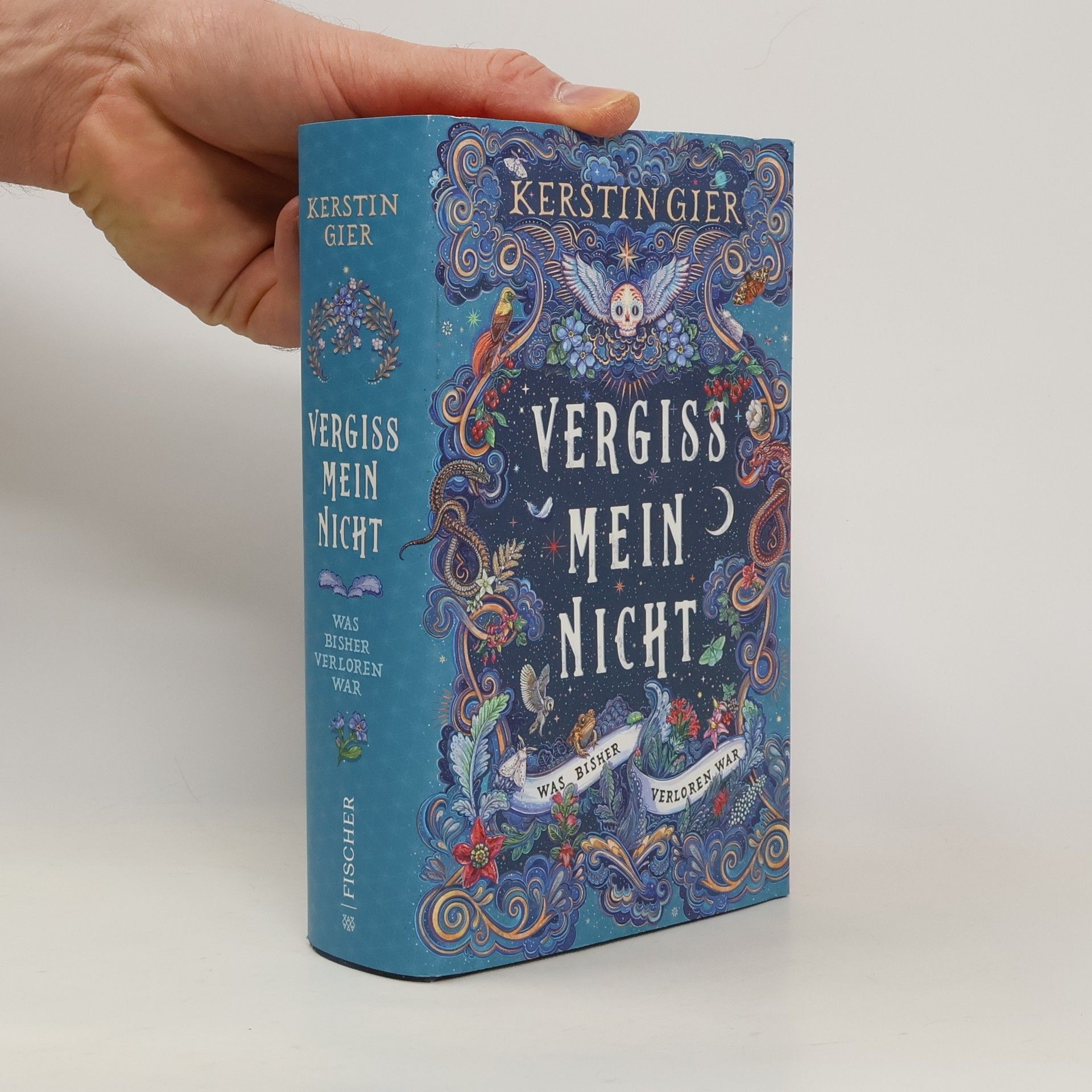 Kerstin Gier Vergissmeinnicht - Was bisher verloren war